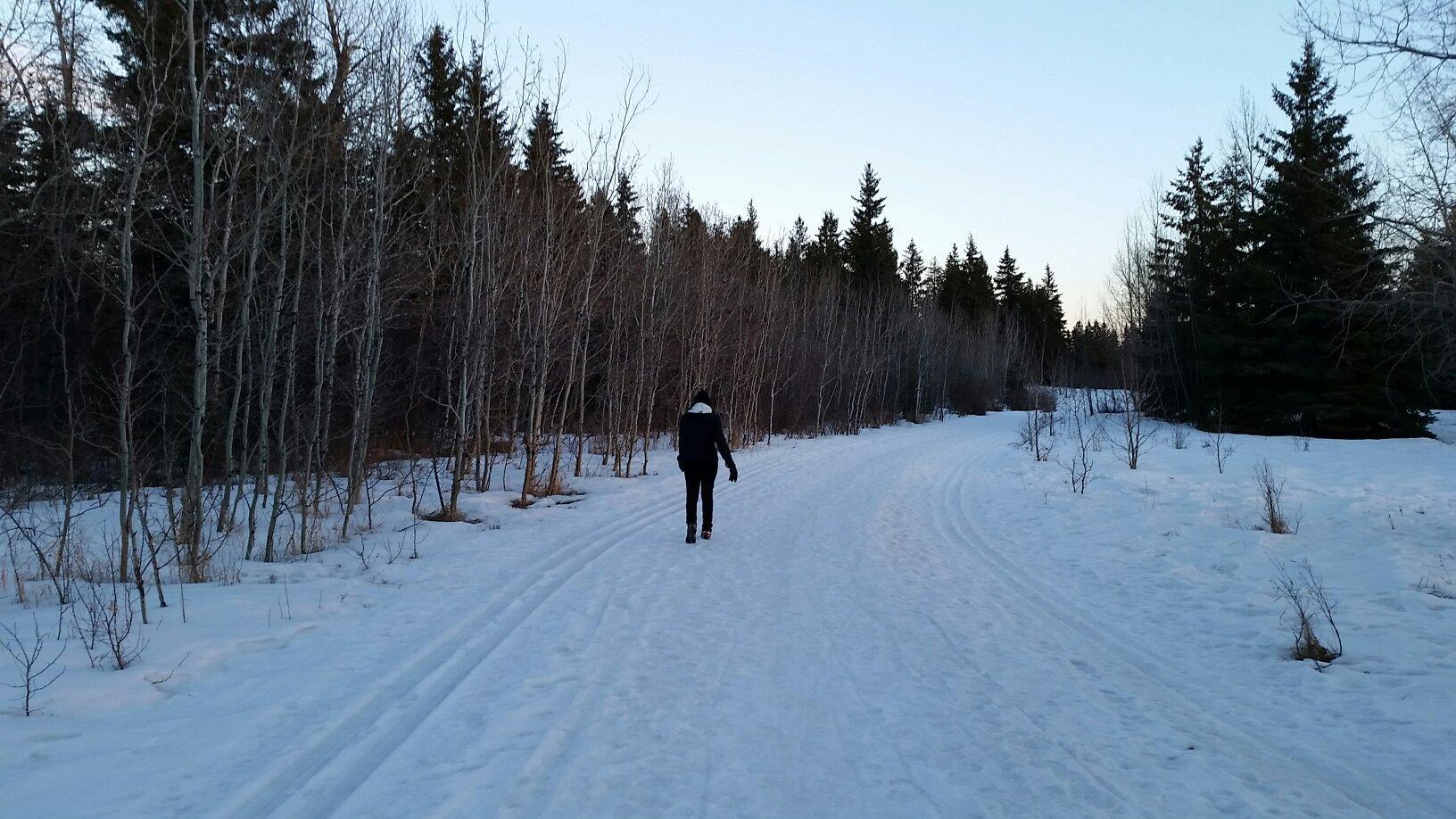 Waskasoo Creek Trail