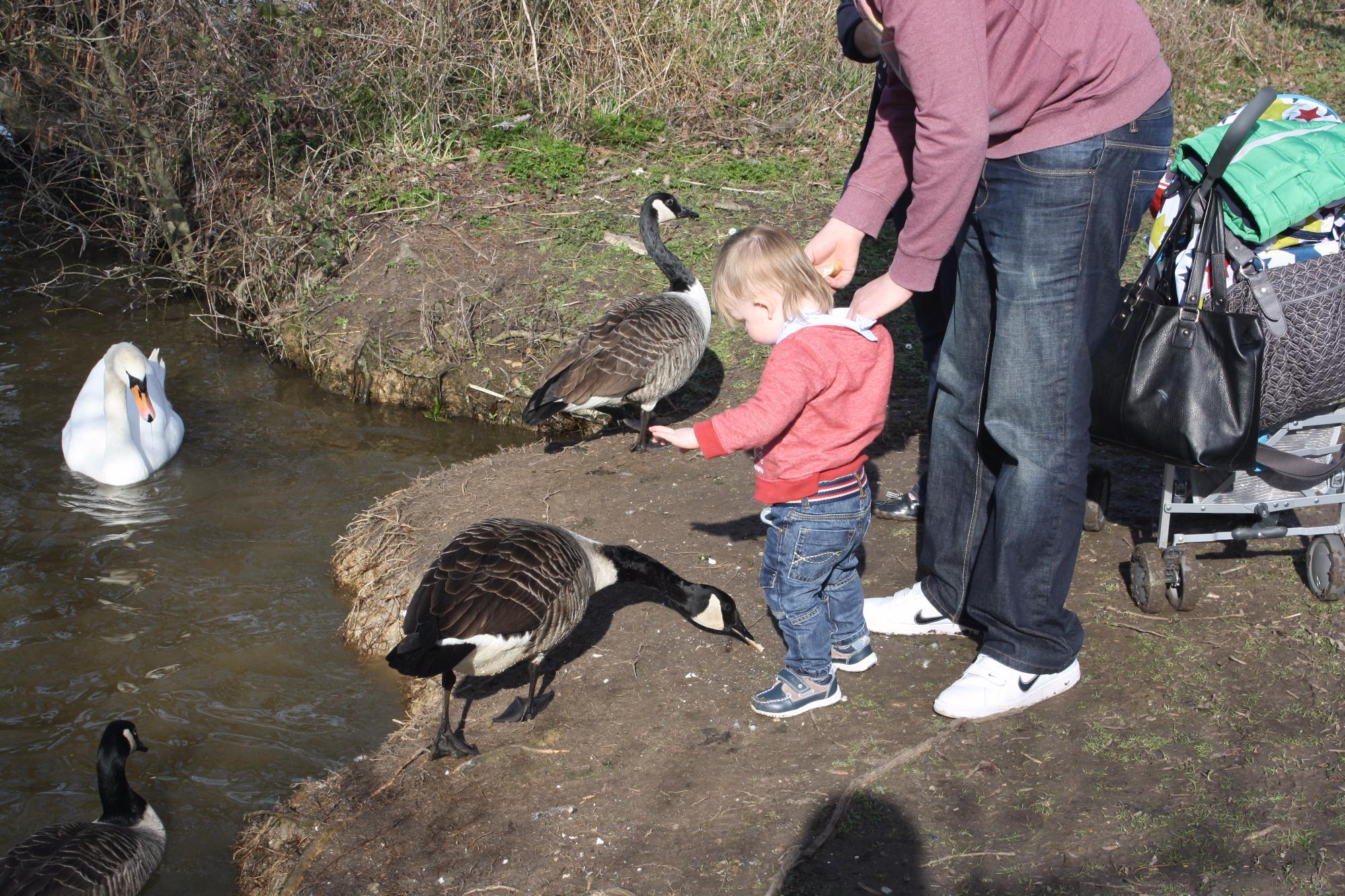 Rickmansworth Aquadrome