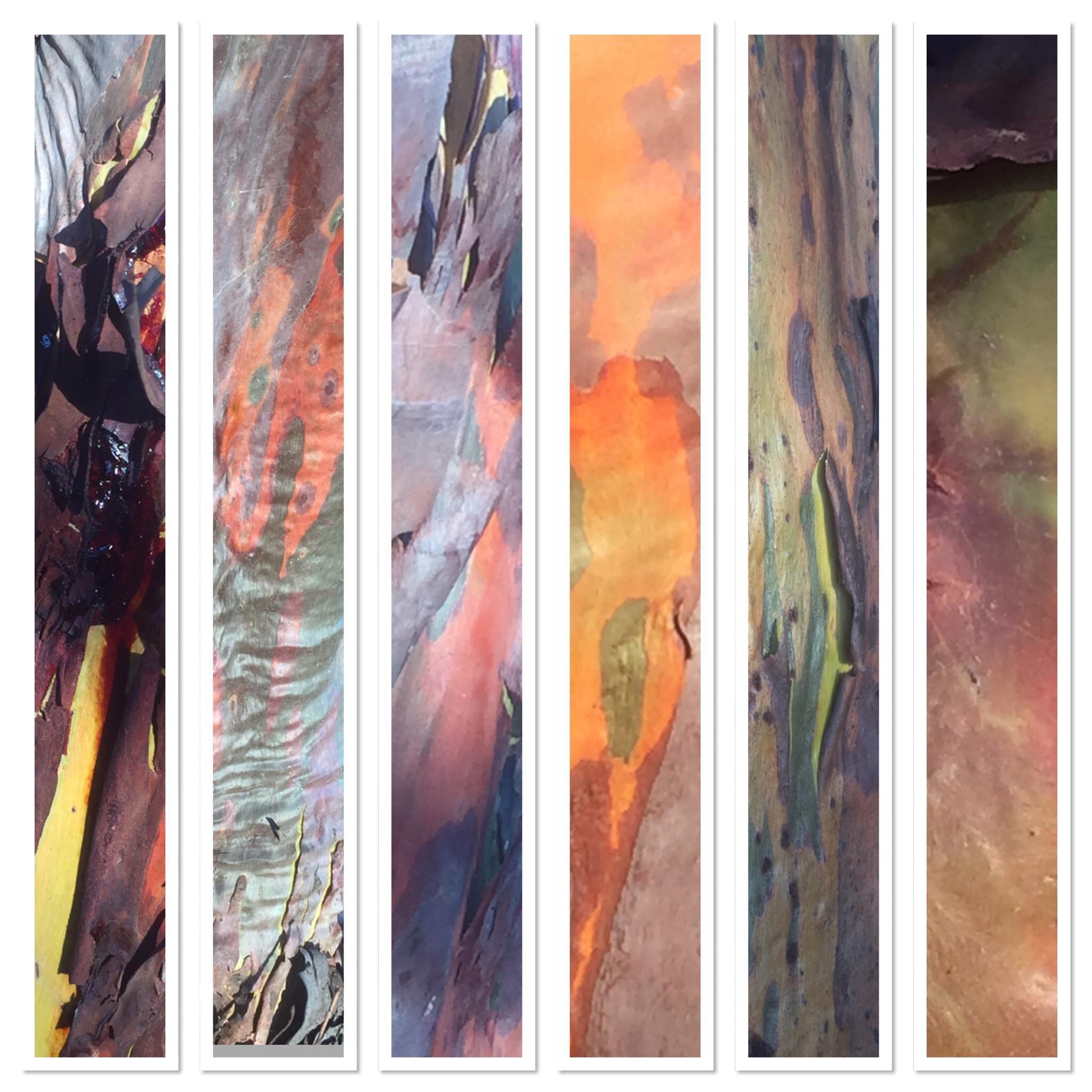 Desert Edge Arts Gallery