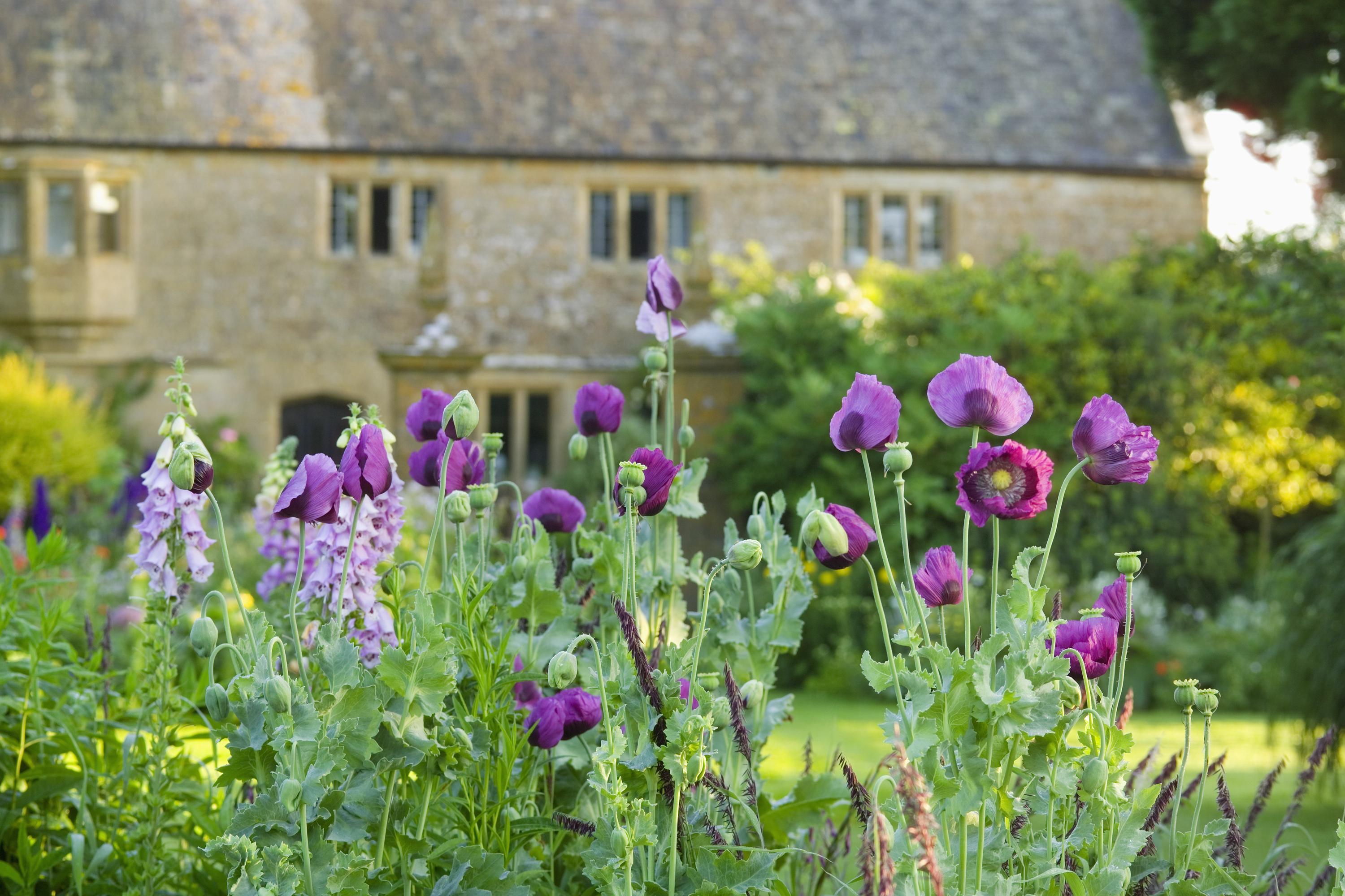 Lower Severalls Farmhouse