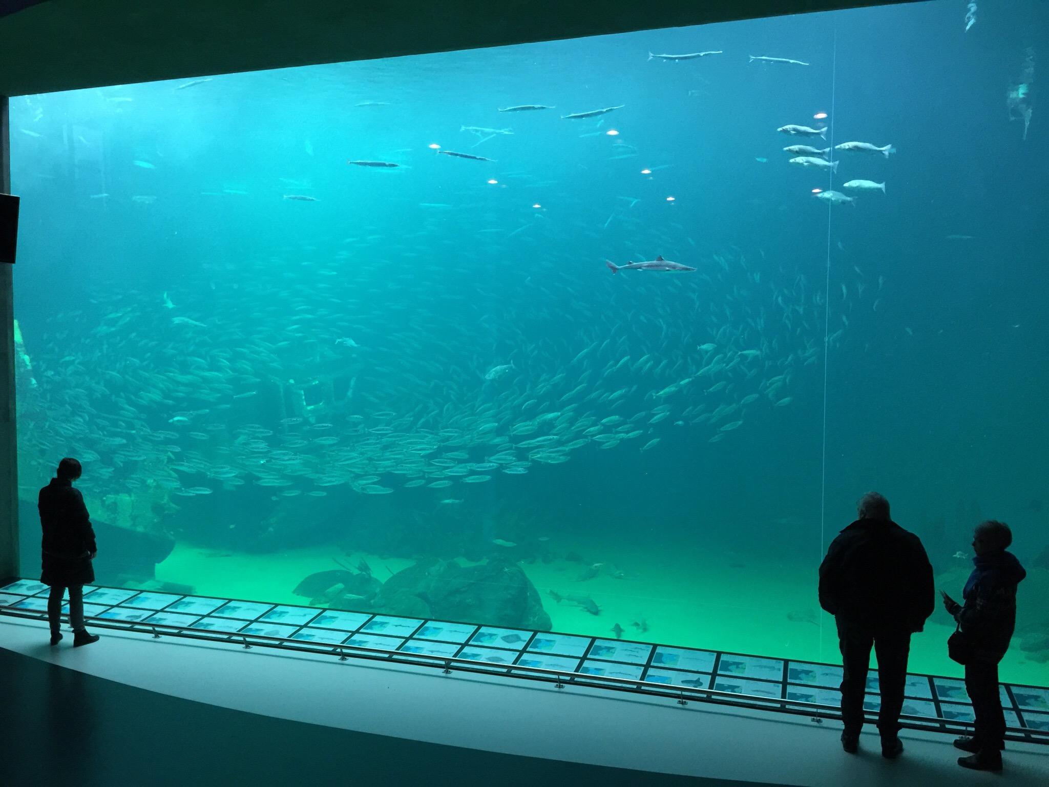 Nordsoen Oceanarium