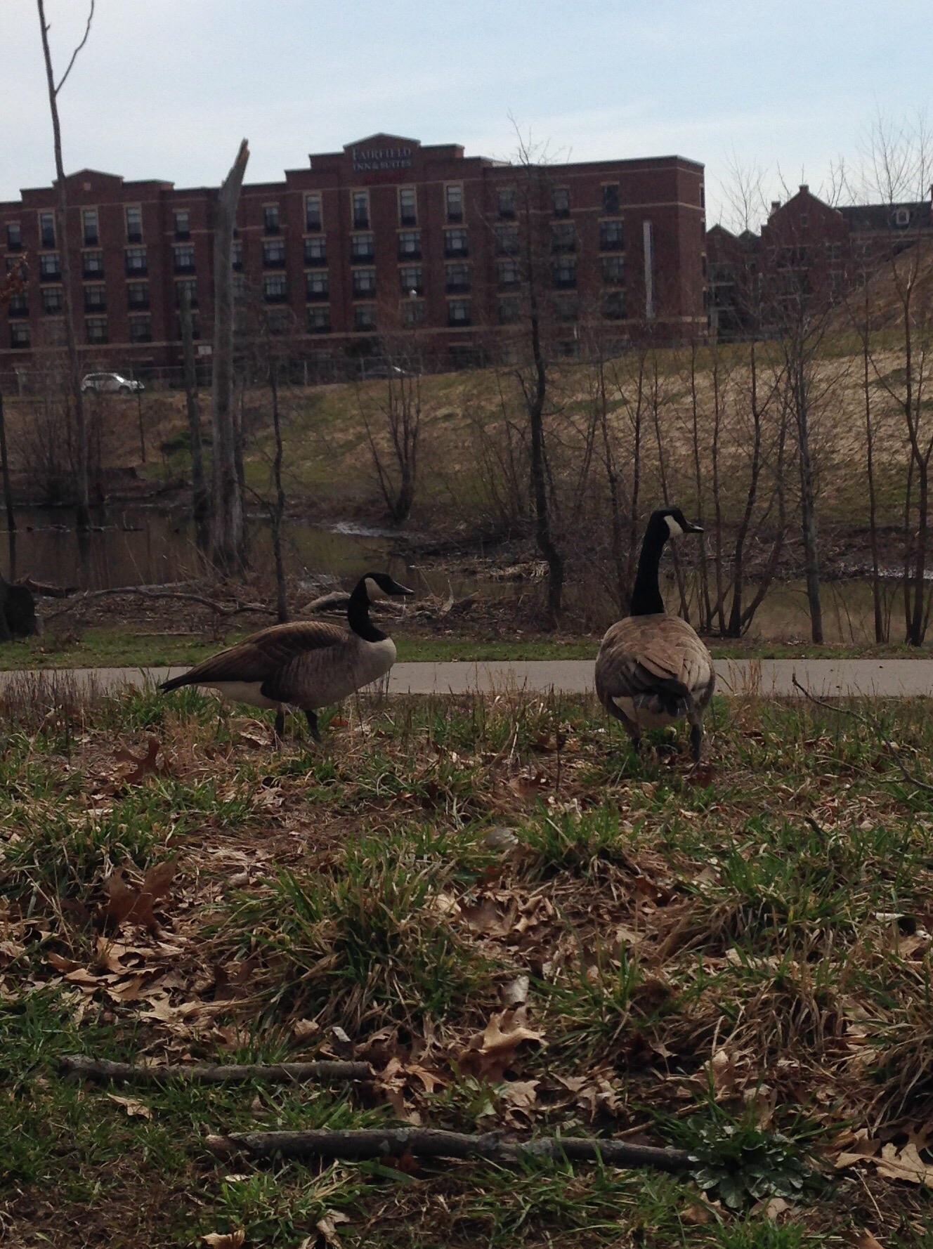 Photo by RebeccaG803