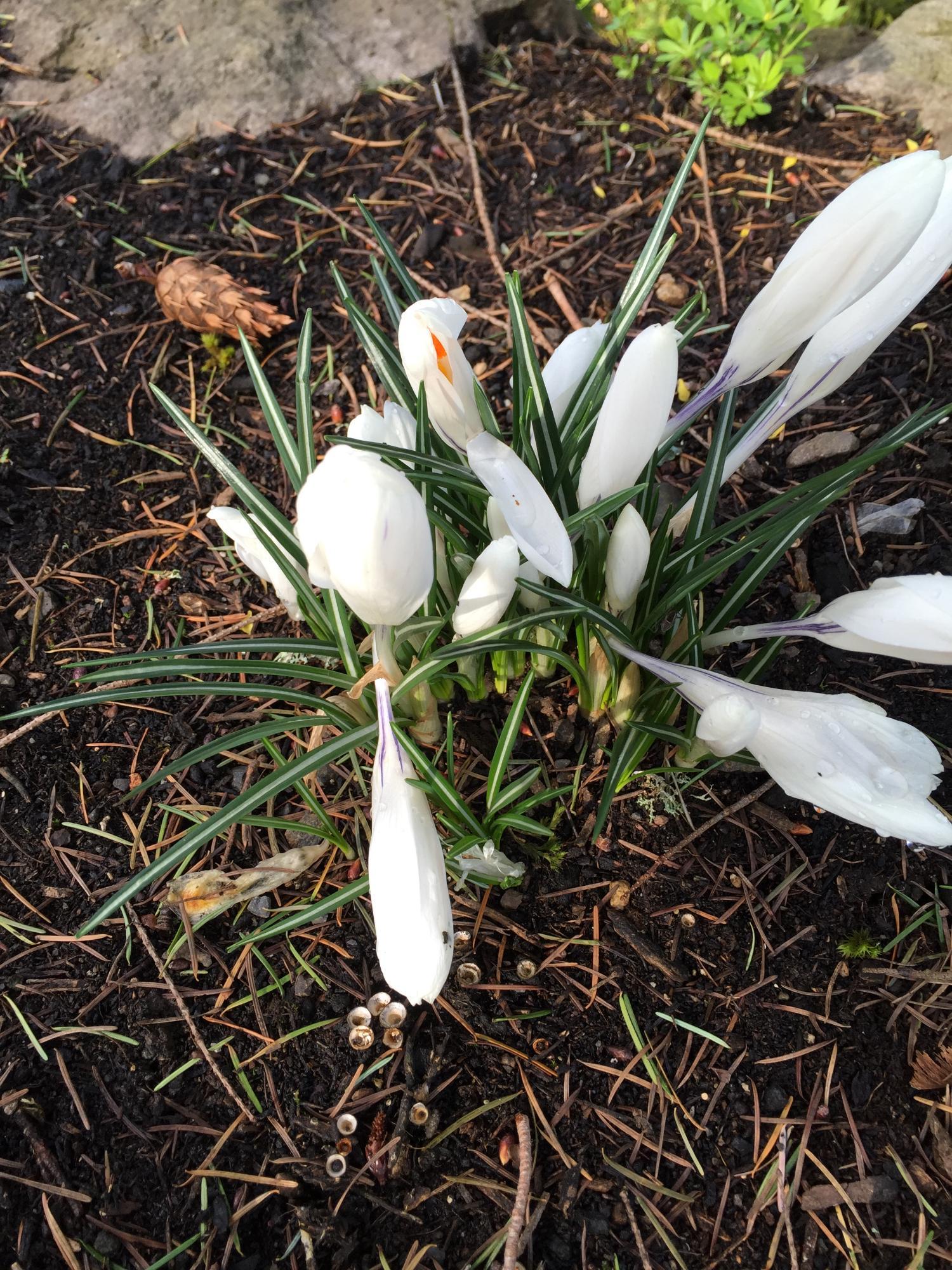 Lewis and Clark College