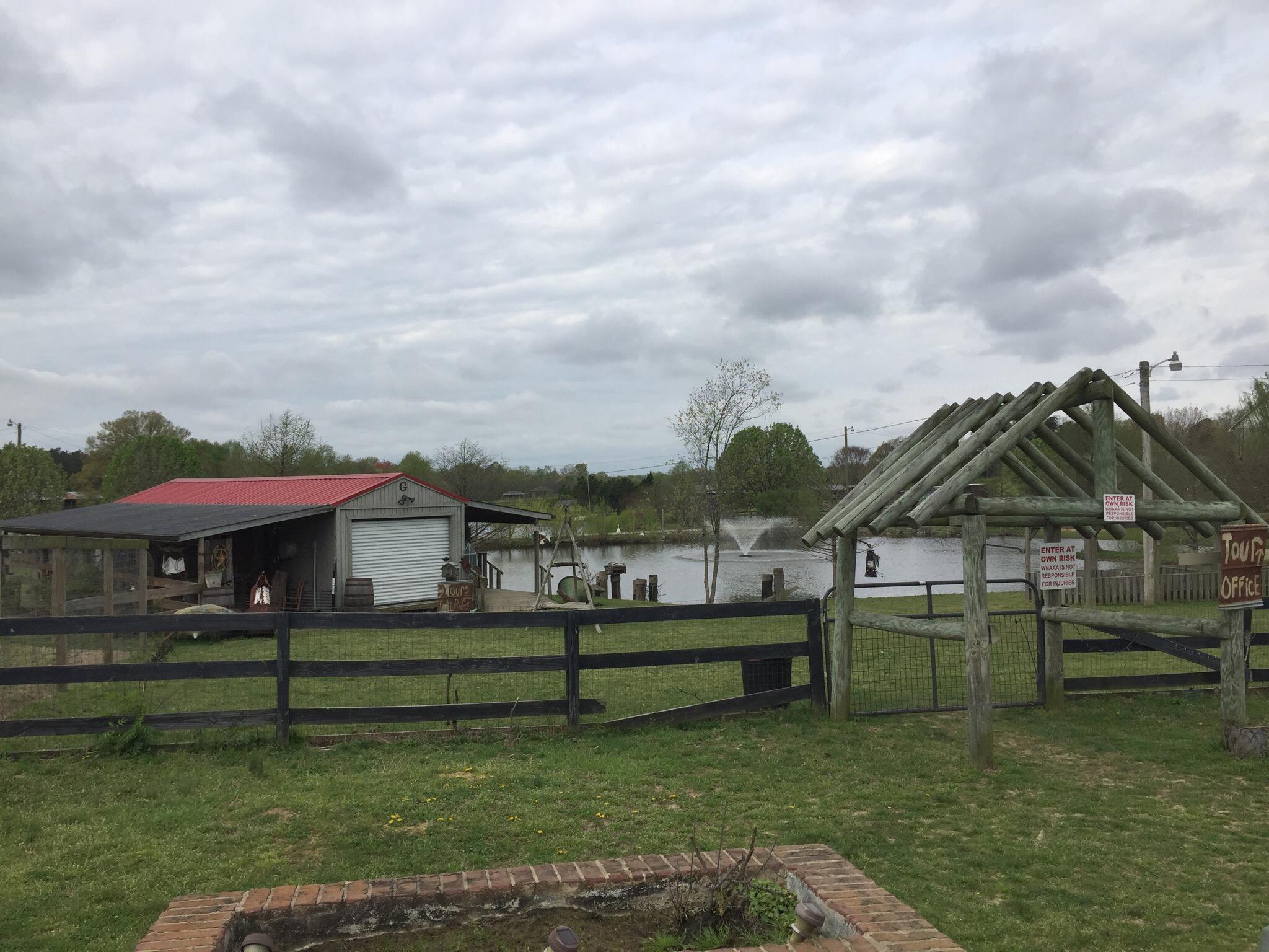 Why Not An American Ark