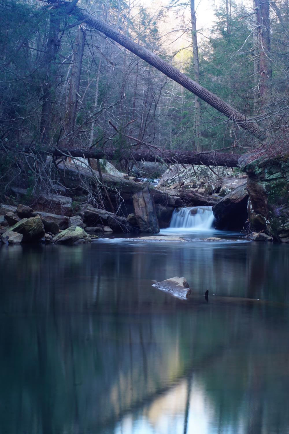 Photo by phototakerman