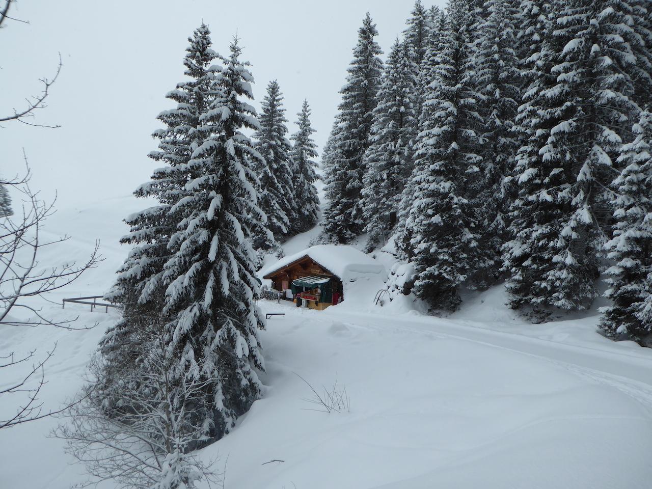 Wanderung Bussalp - Bort