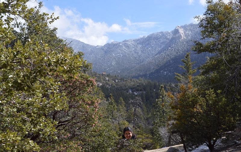 Idyllwild Nature Center