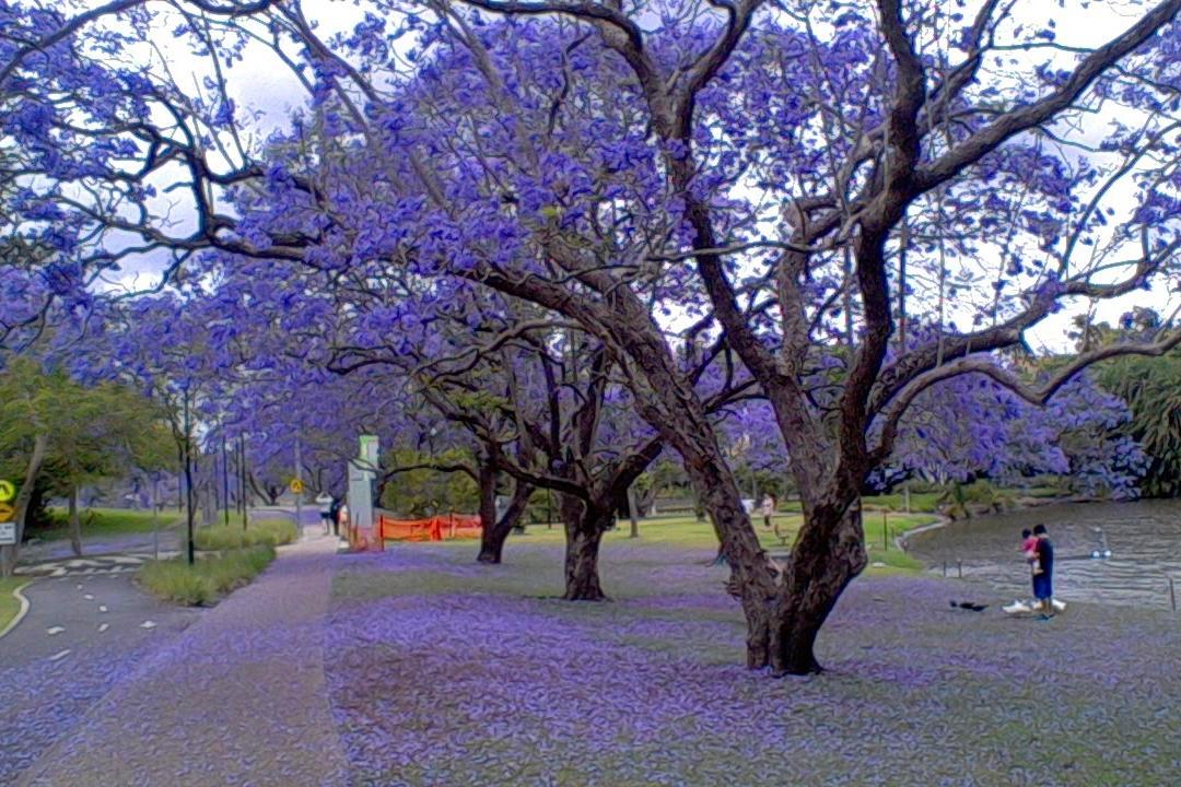UQ Lakes