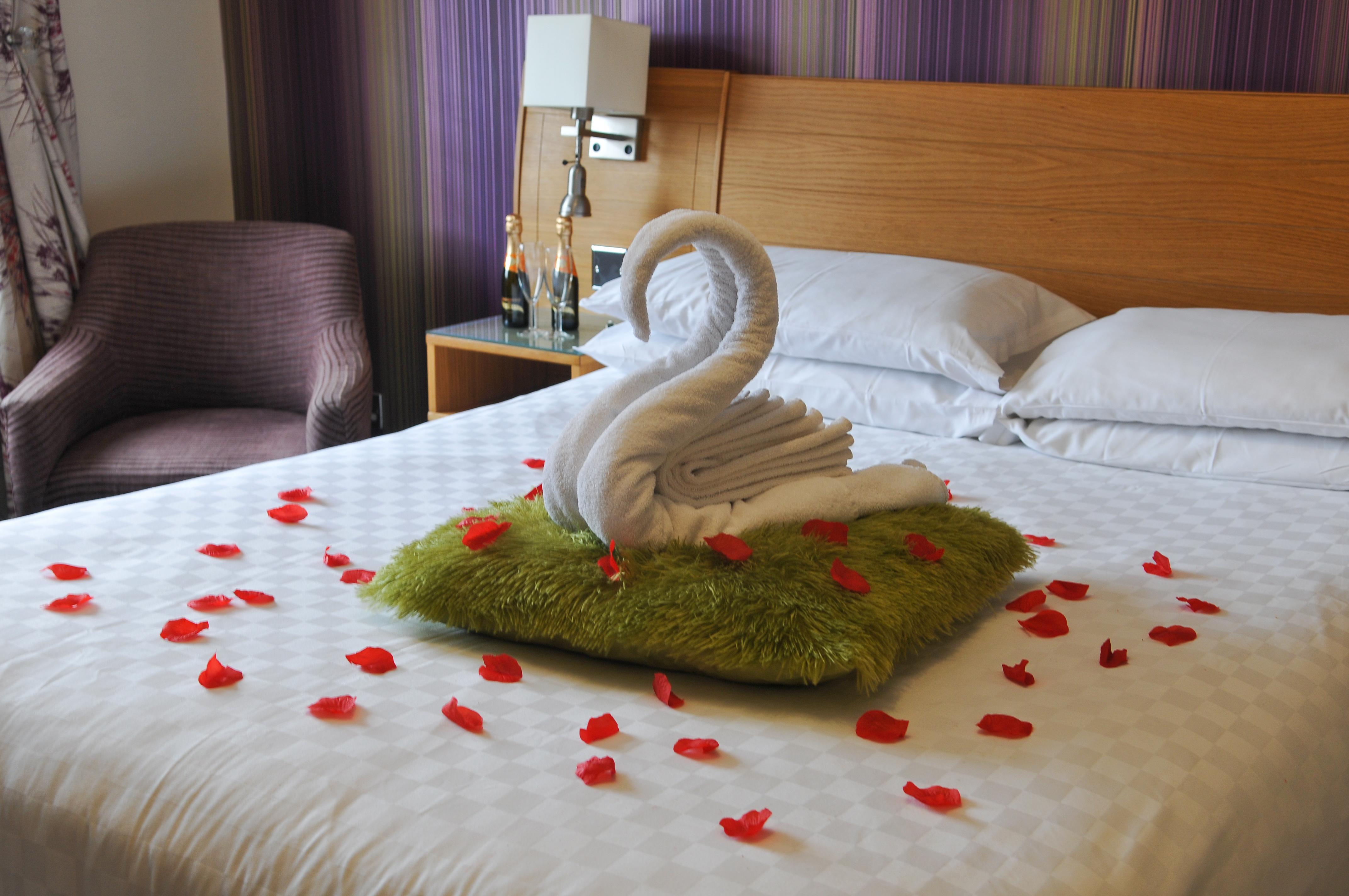 The Stuffed Dormouse Hotel