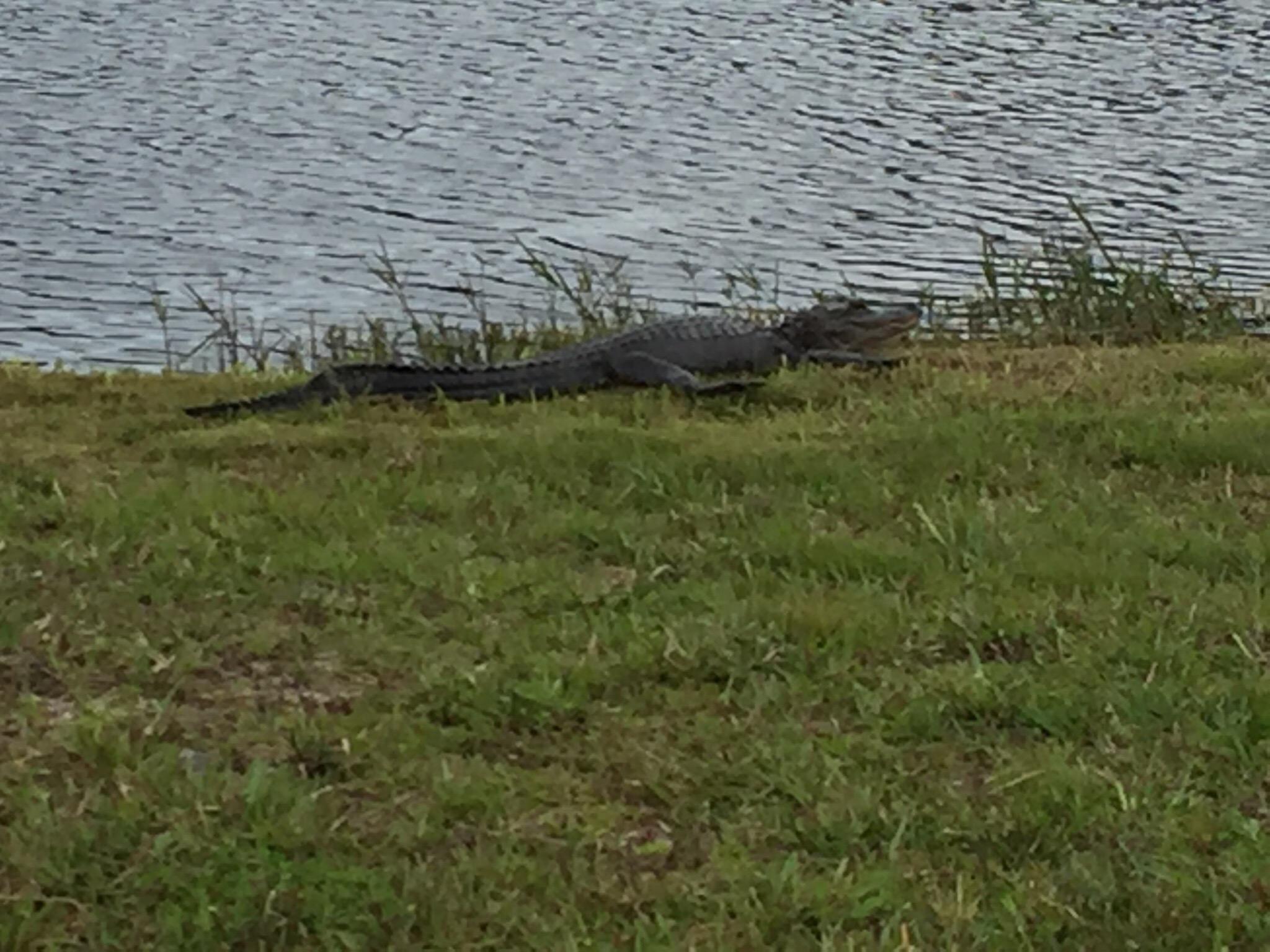 Photo by KimberlyR734