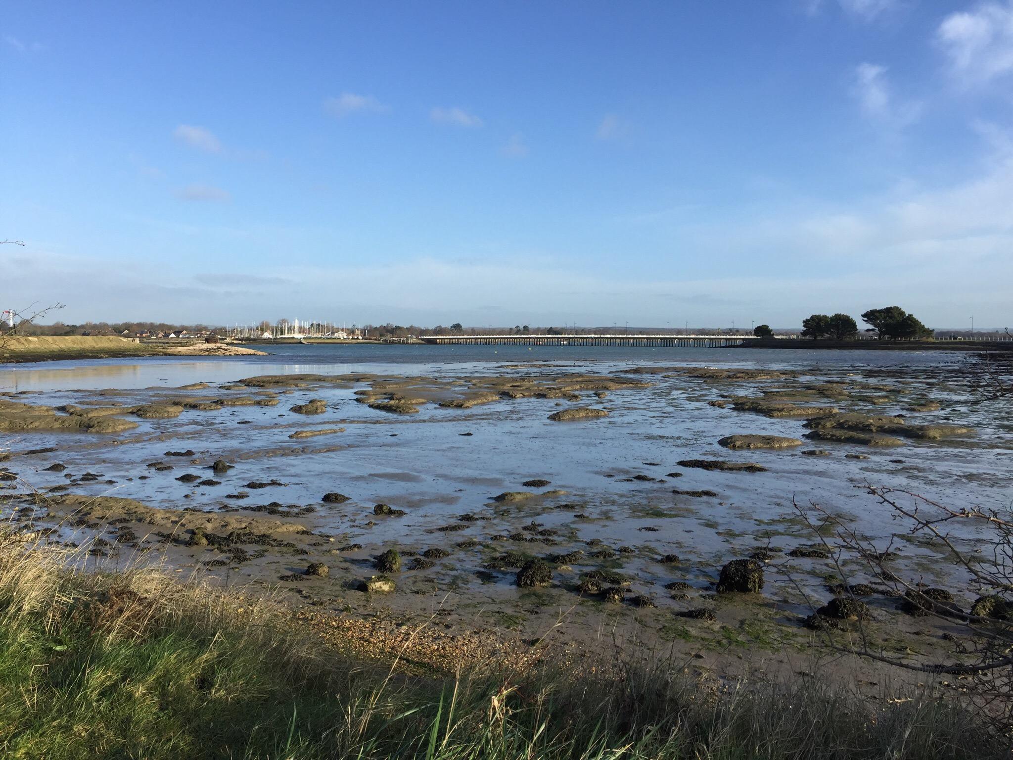 Langstone Harbour