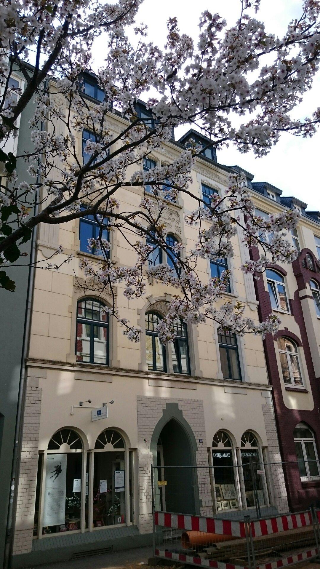 Haus Der FrauenGeschichte