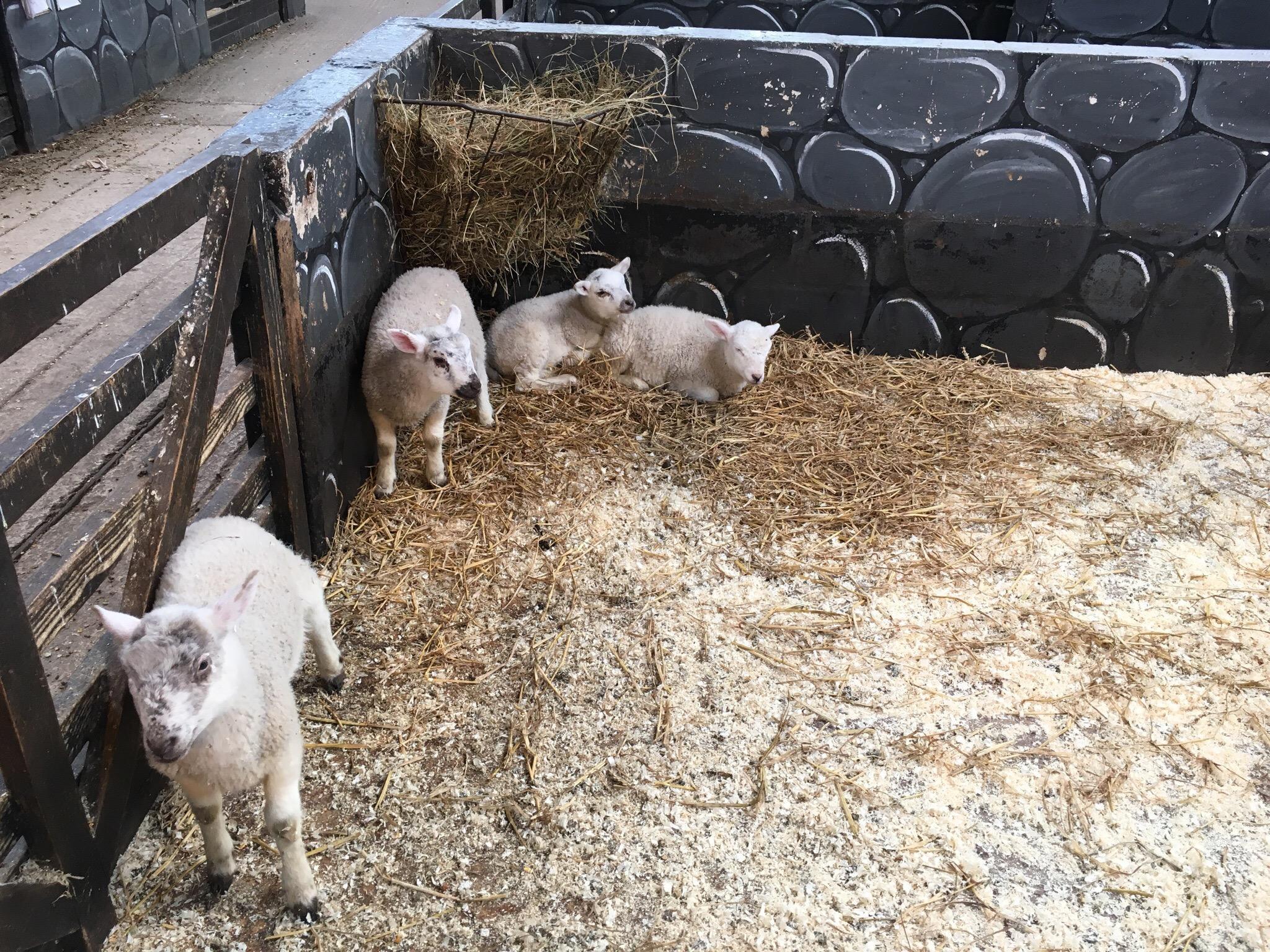 Photo by seekeroffortune2013