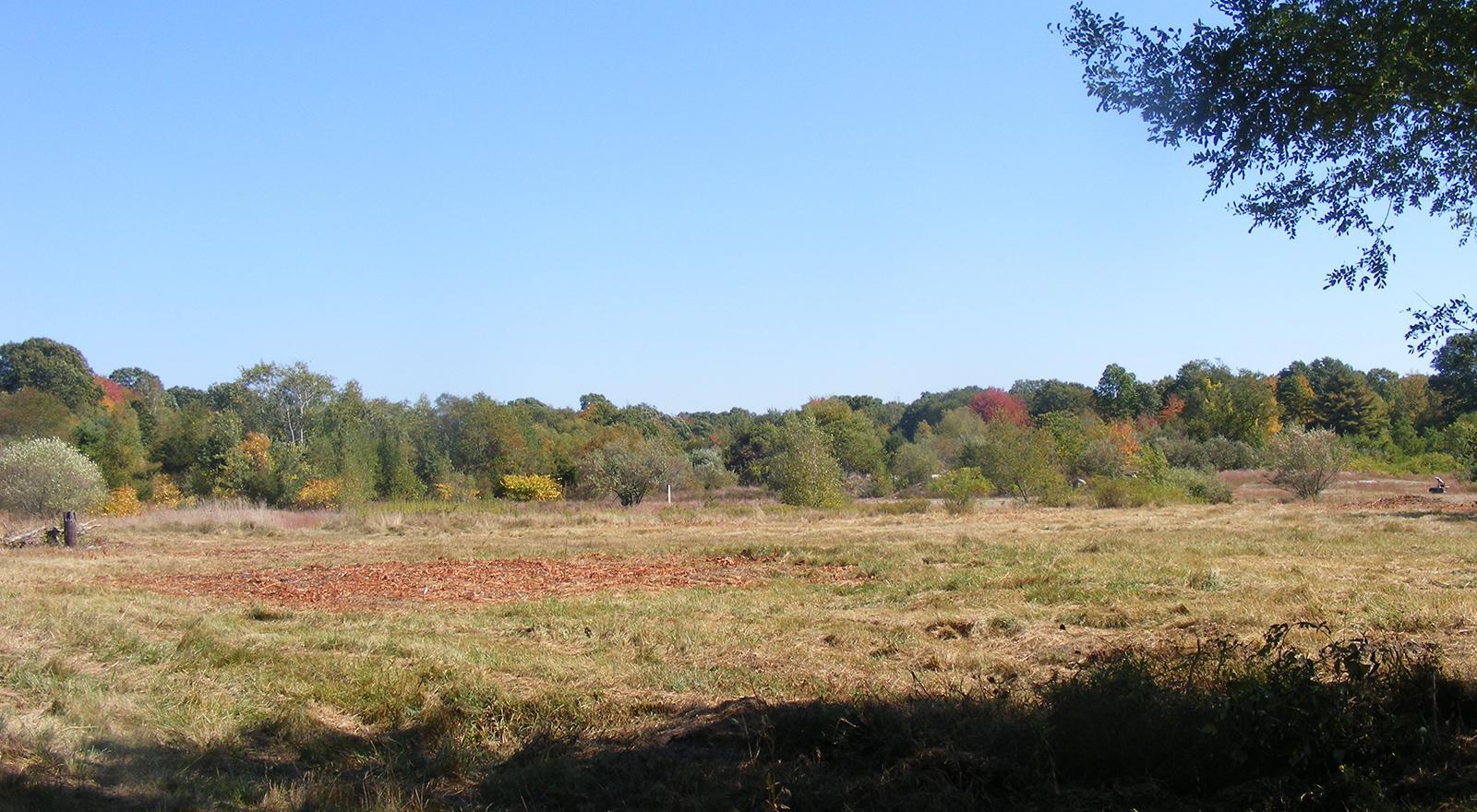 Peace Dale Shooting Preserve