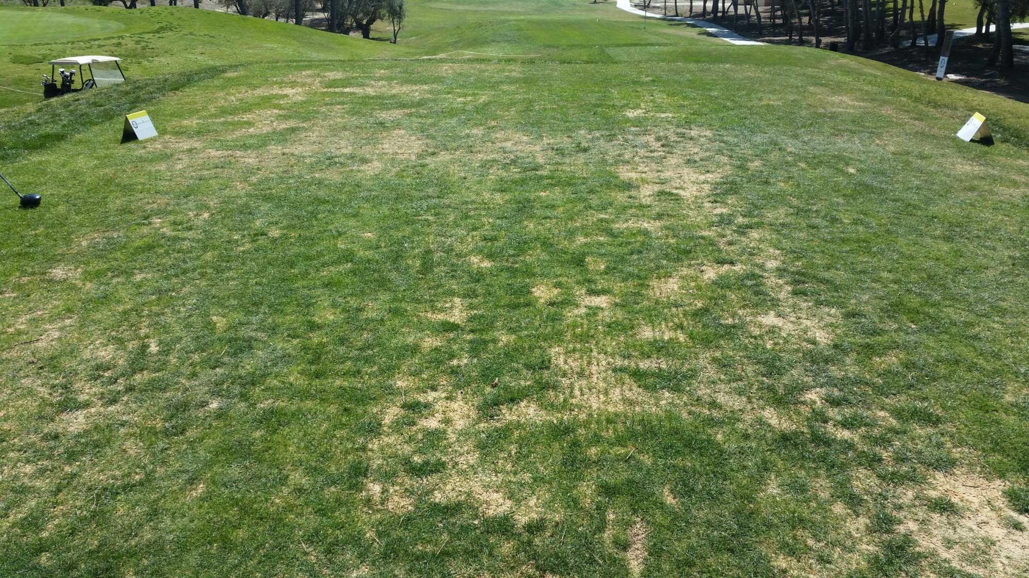 Club De Golf Altorreal