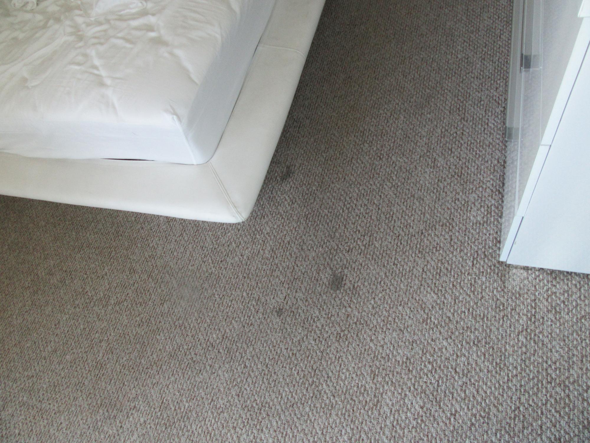 Photo by Mamidragonne