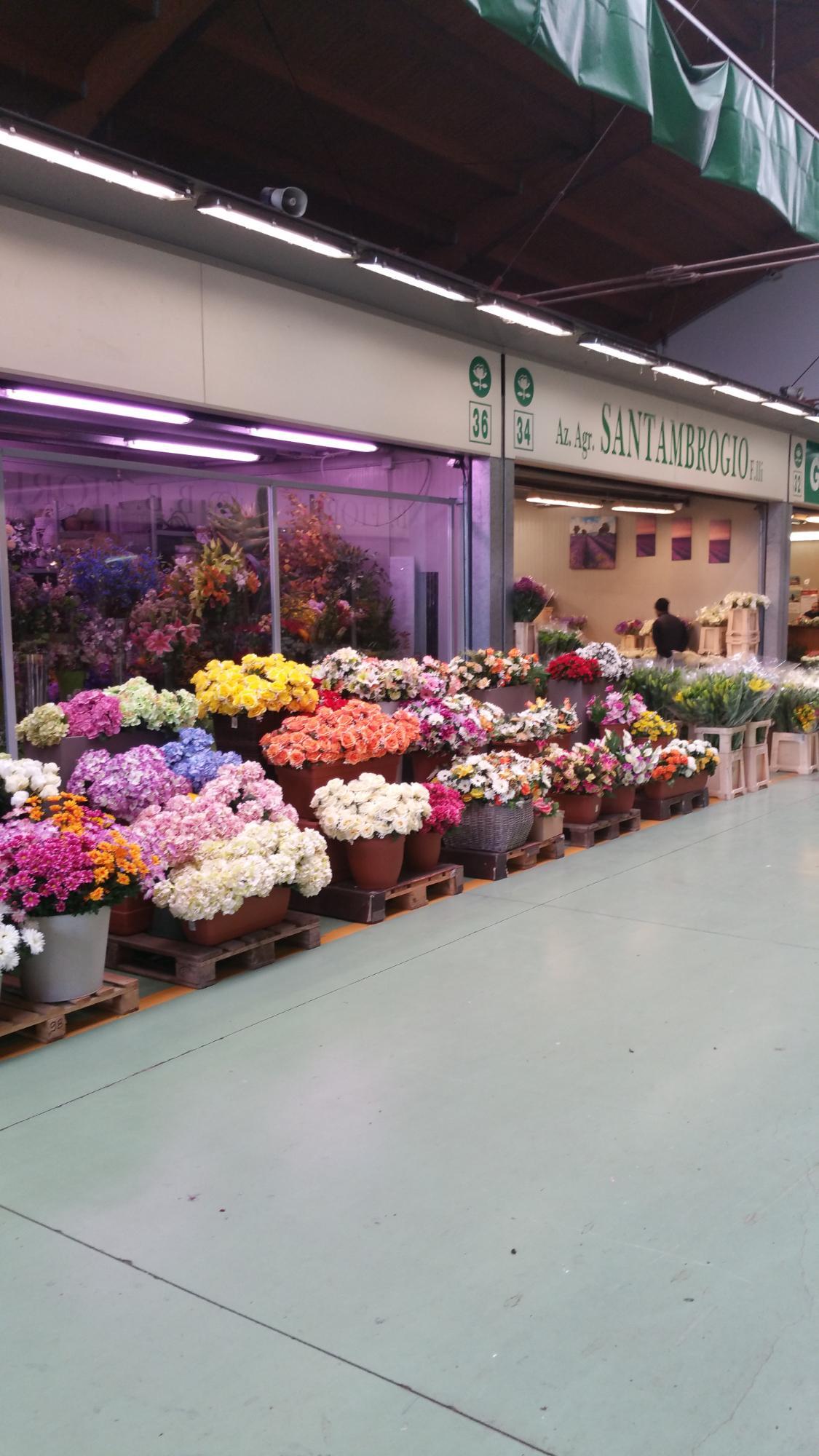 Mercato Ortofrutticolo