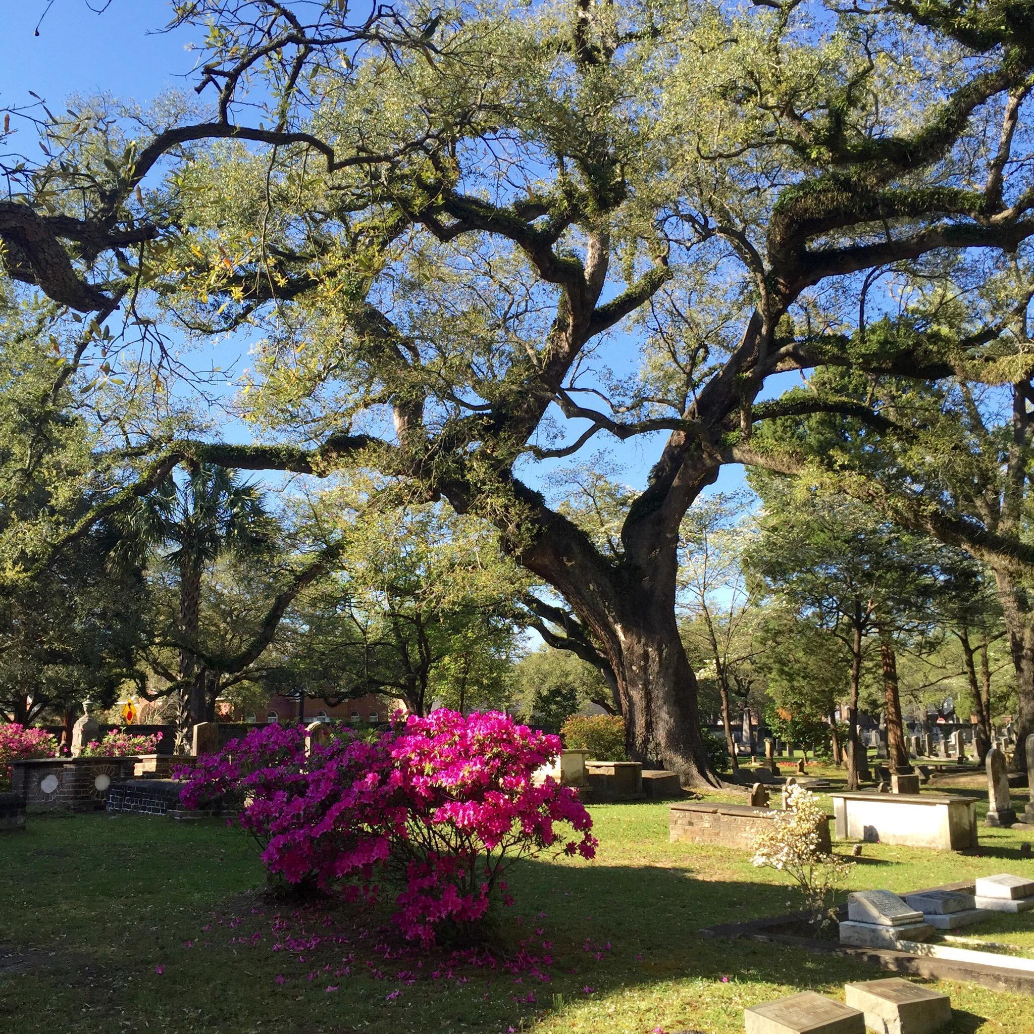 Prince George Winyah Episcopal Church