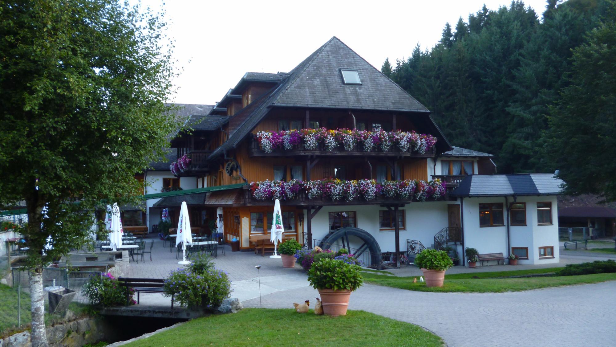 Photo by 567burkhard