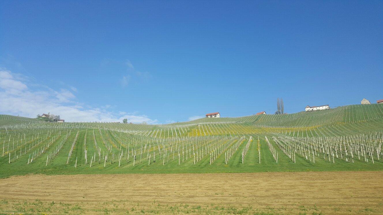 Fruchtbrennerei Franz Tinnauer