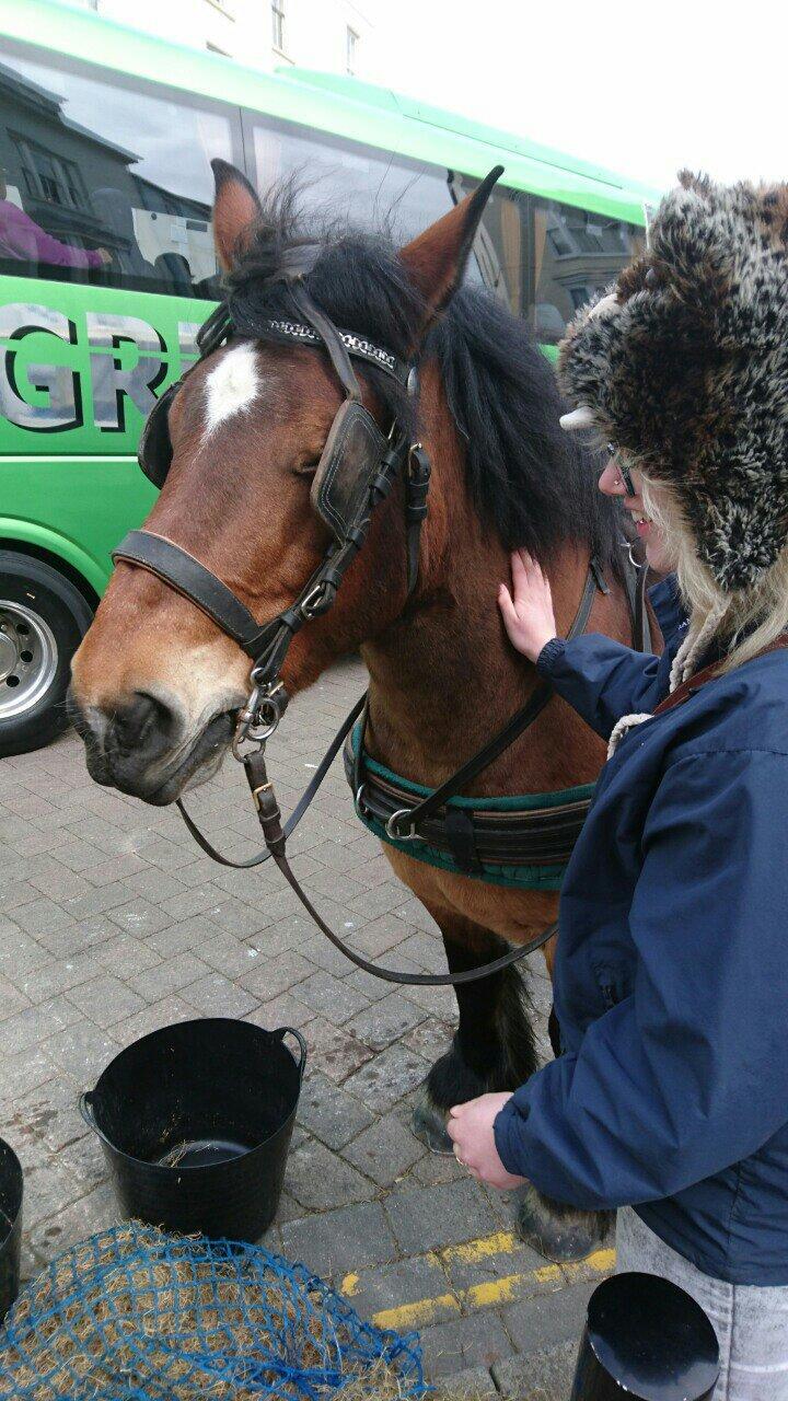 Photo by blondiethejockey812