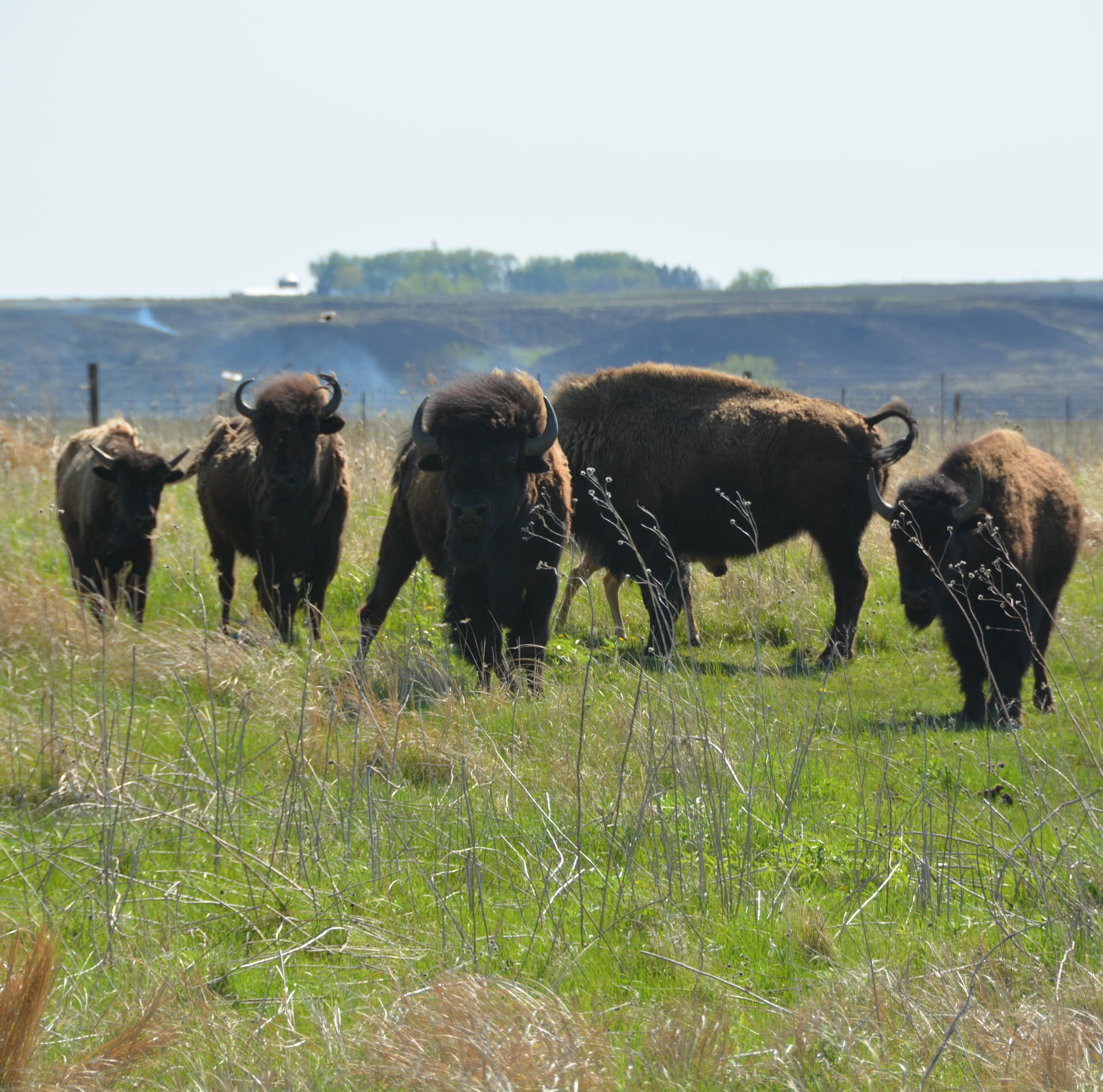 Prairie Heritage Center