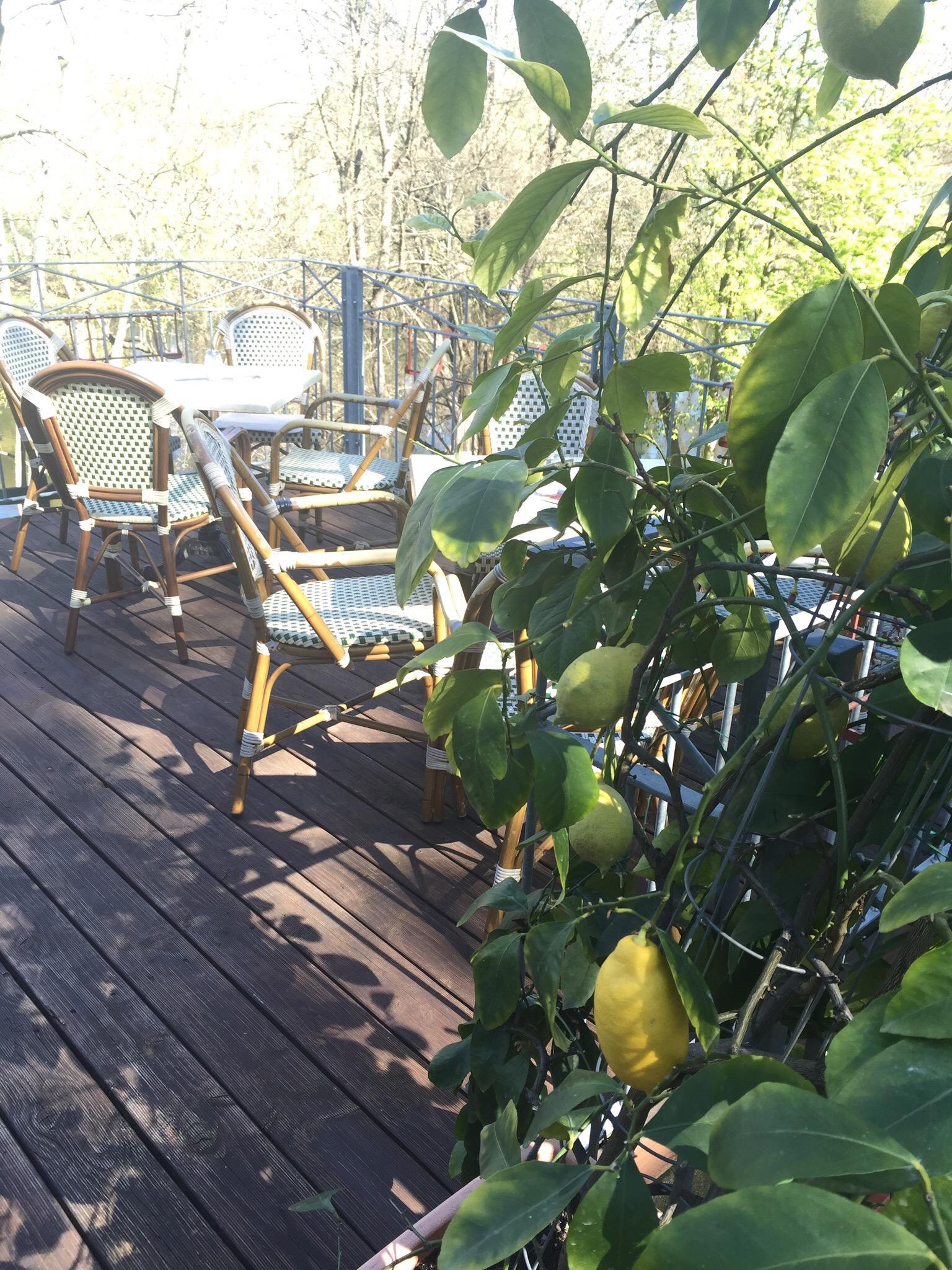 Sachsische Kaffeestube