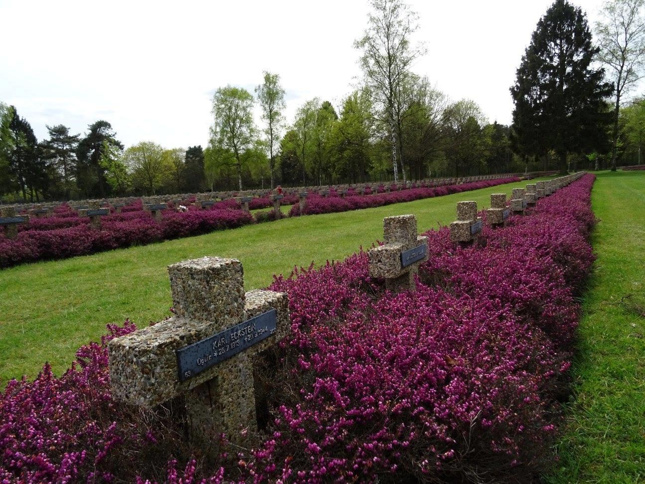 Photo by FerdiPauwels