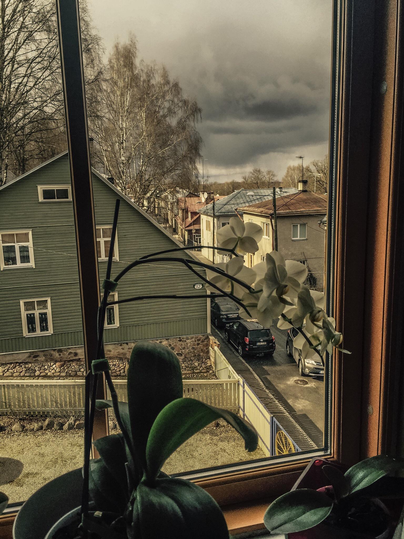 Paikesemaja Guest Apartment