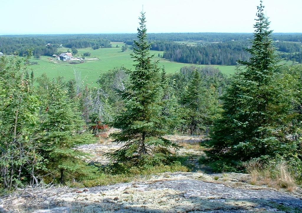 Powassan Mountain Conservation Area