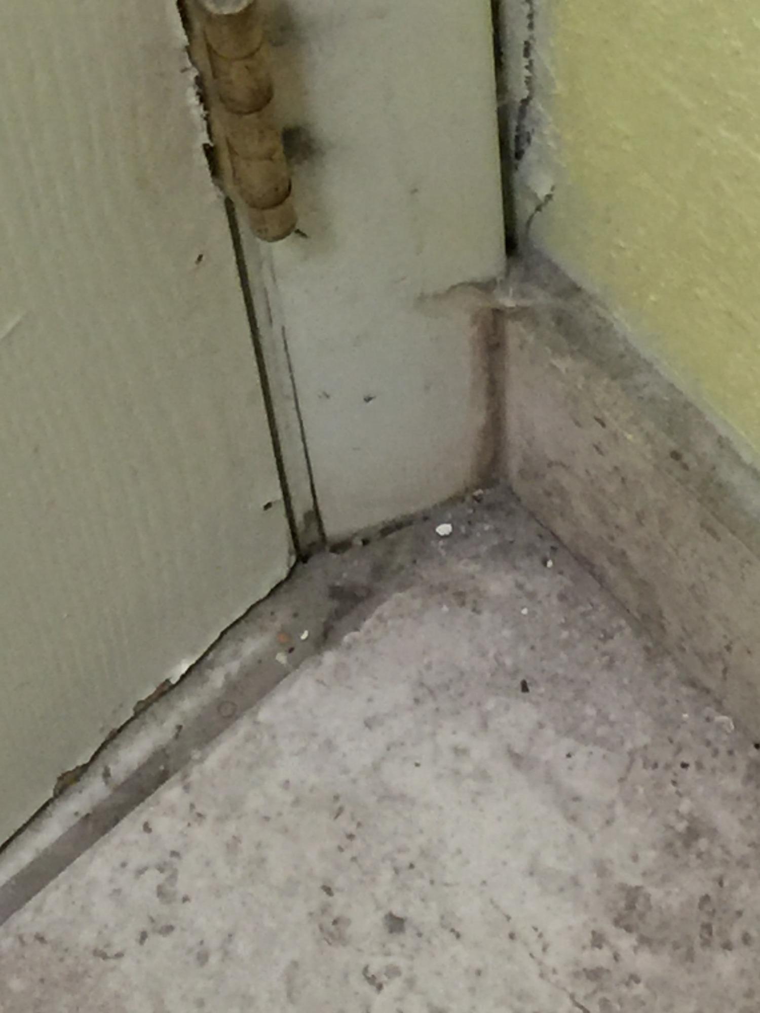 Photo by suzanne9025