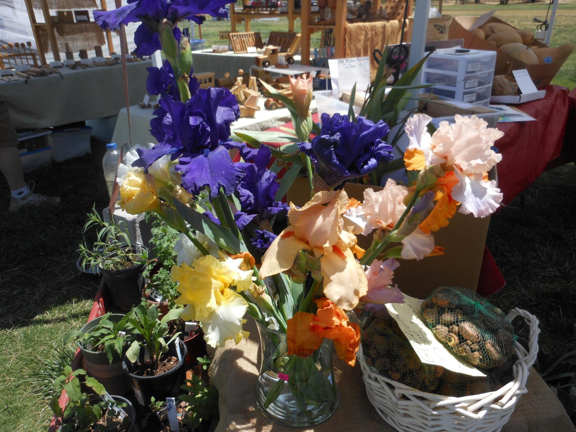 Sierra Vista Farmers Market