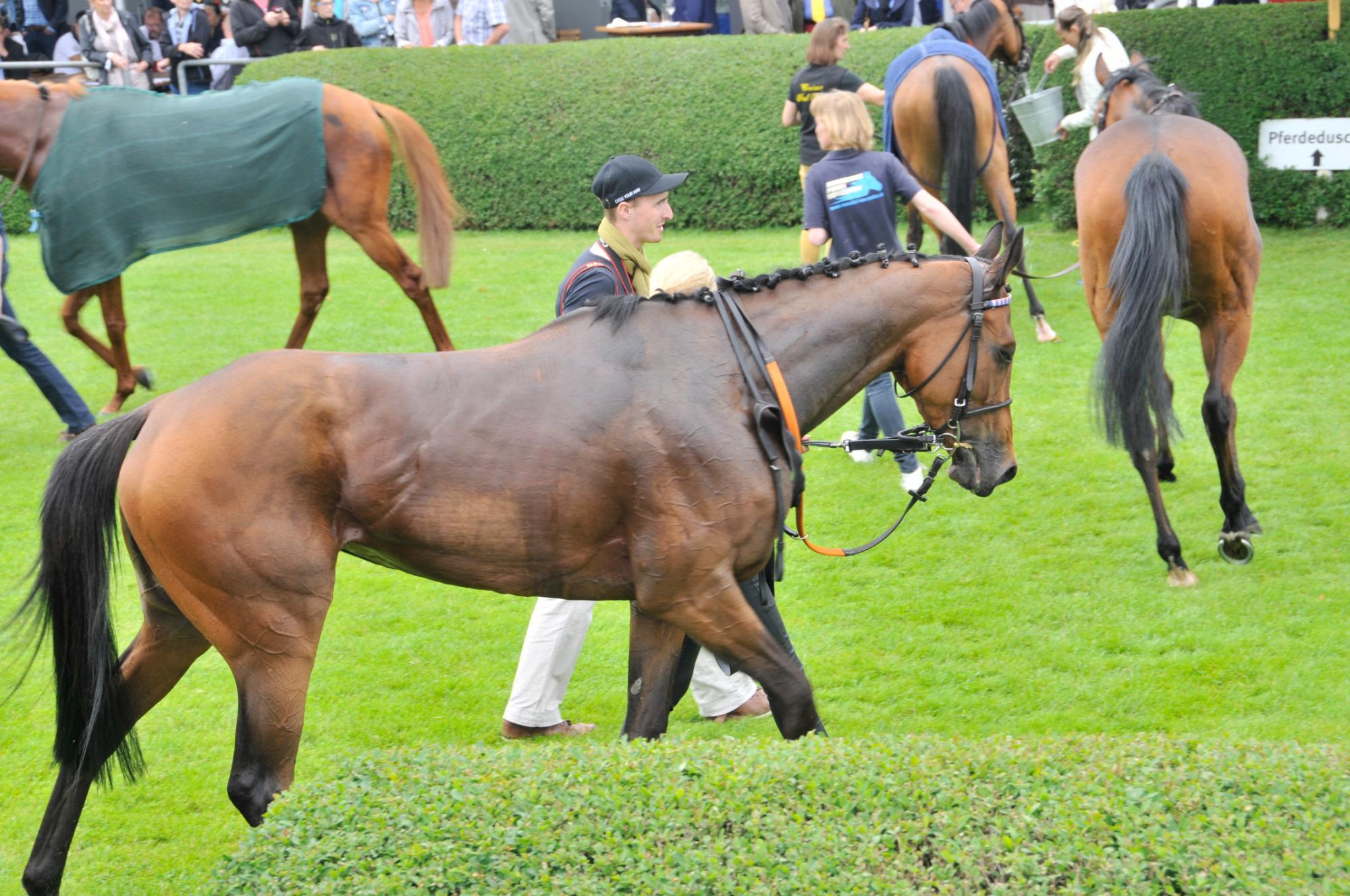 Pferderennbahn Neue Bult