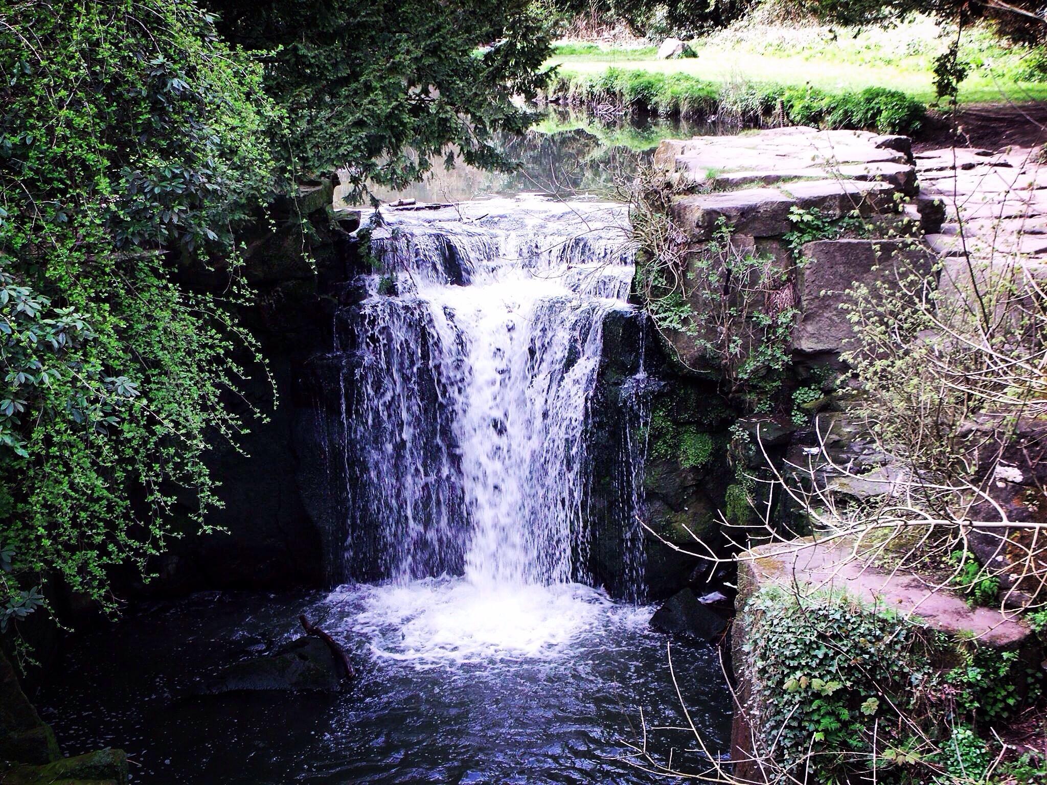 Jesmond Dene