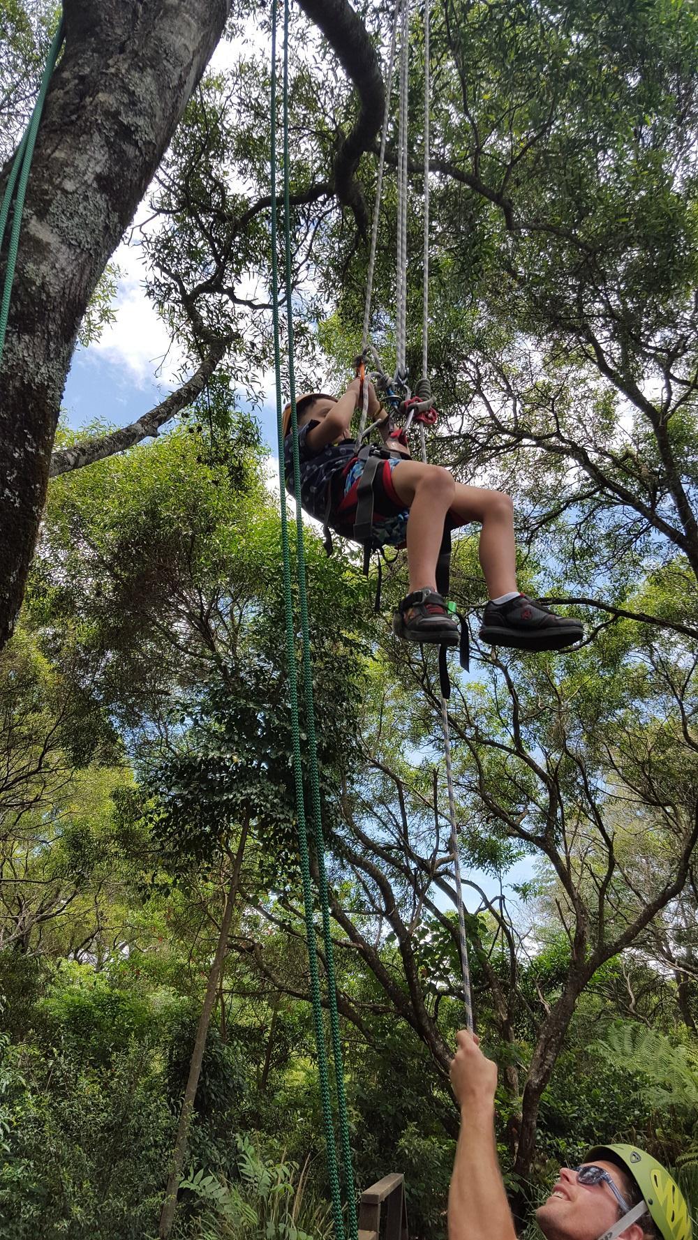 Treeco Climbing Adventures