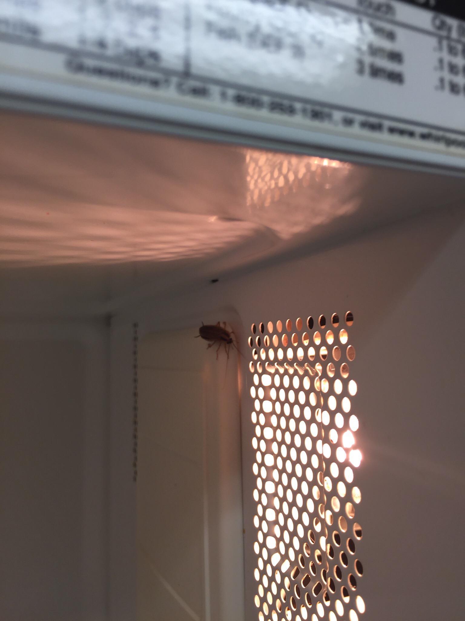 Extended Stay America - Lubbock - Southwest