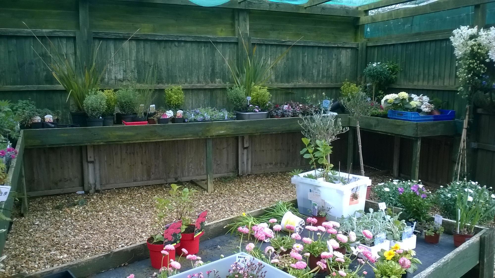 Whetherday Plant Nursery