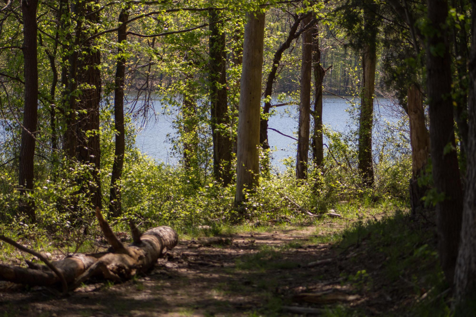 Woodlands Nature Station