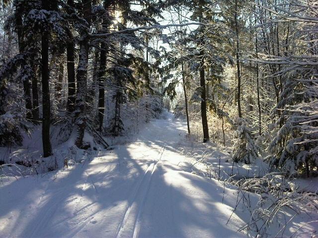 North Bay Nordic Ski Club