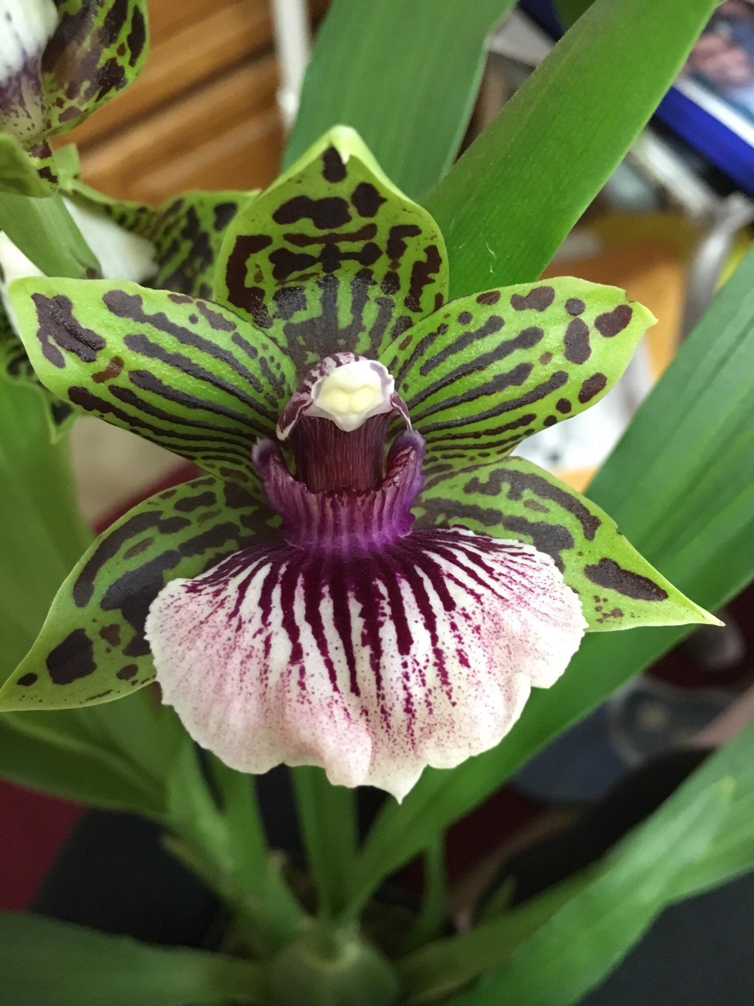 Photo by katherinee0215