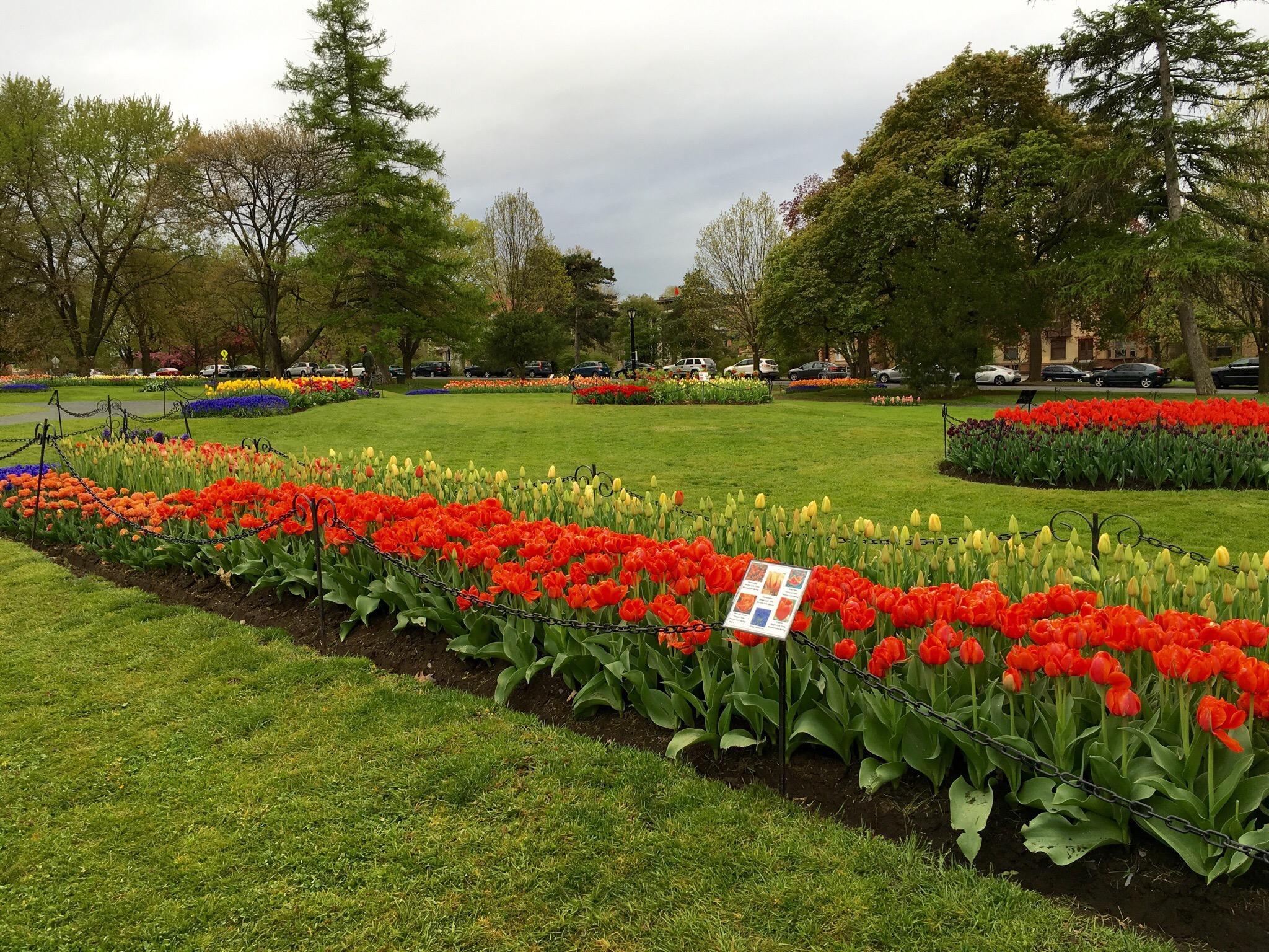 Washington Park