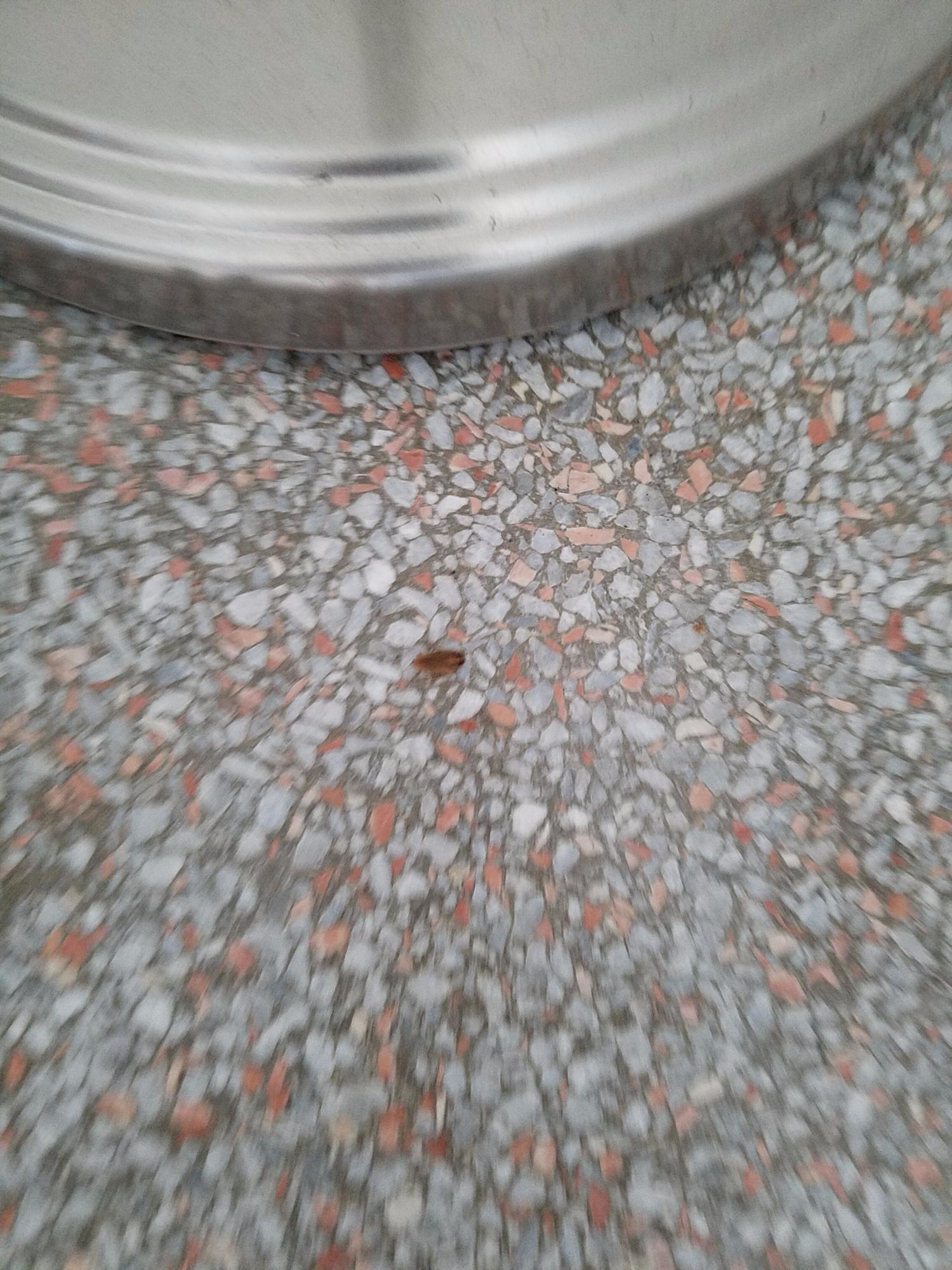 Flagship Hotel Fort Lauderdale