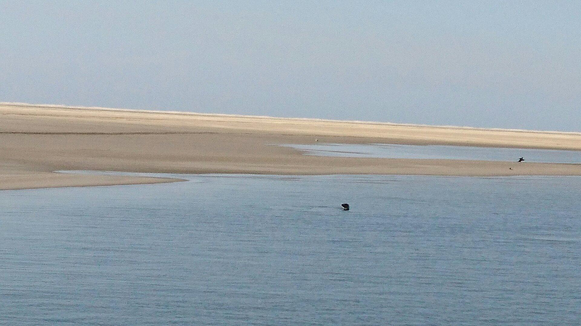 Waddenveer De Vriendschap