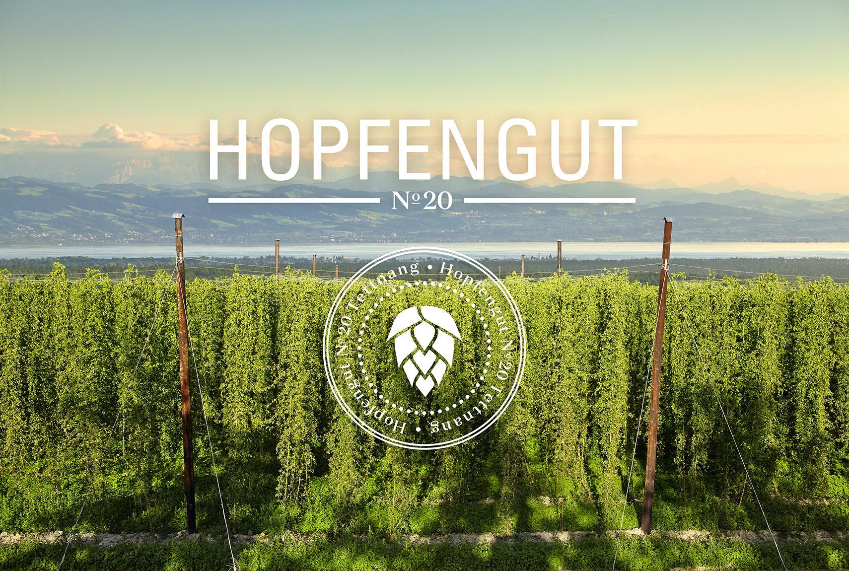 Hopfengut N°20