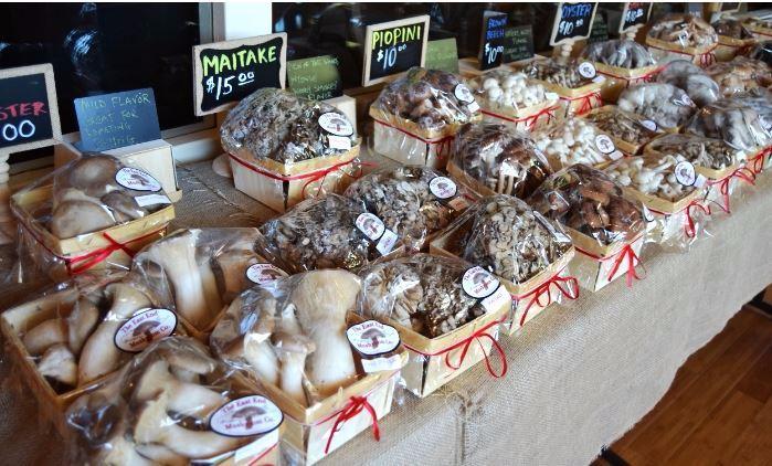 The East End Mushroom Company
