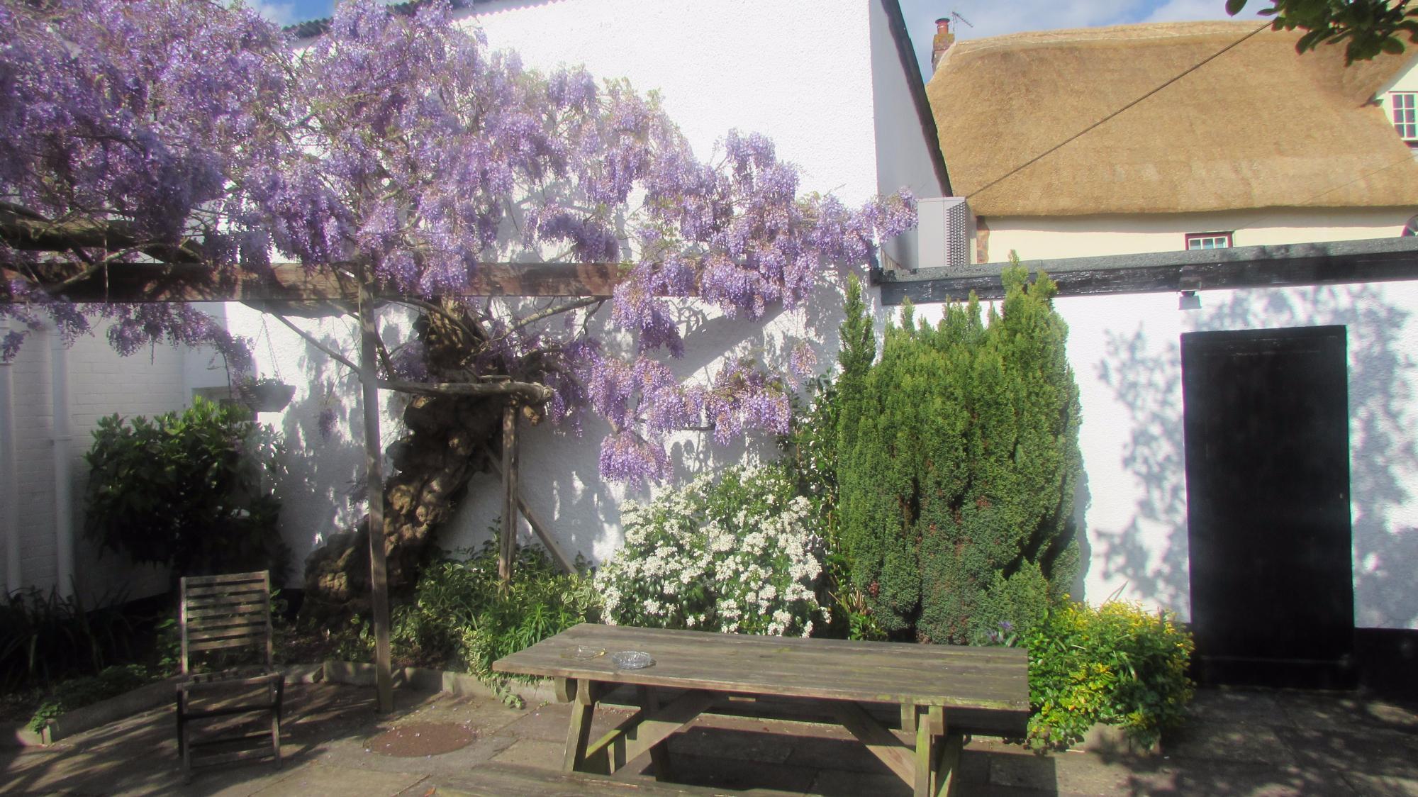 The Thorverton Arms Bed & Breakfast