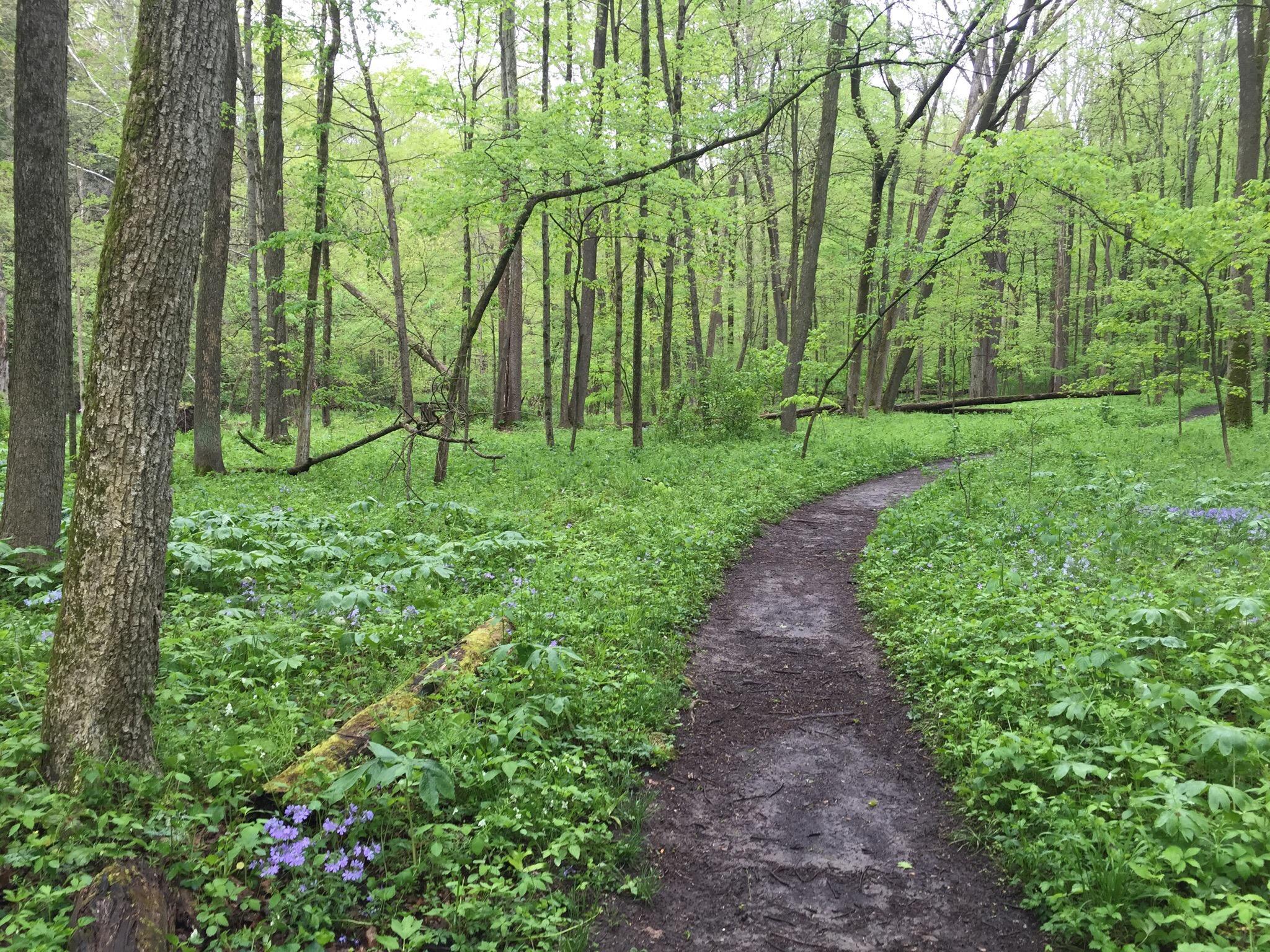 Photo by 183meredithn