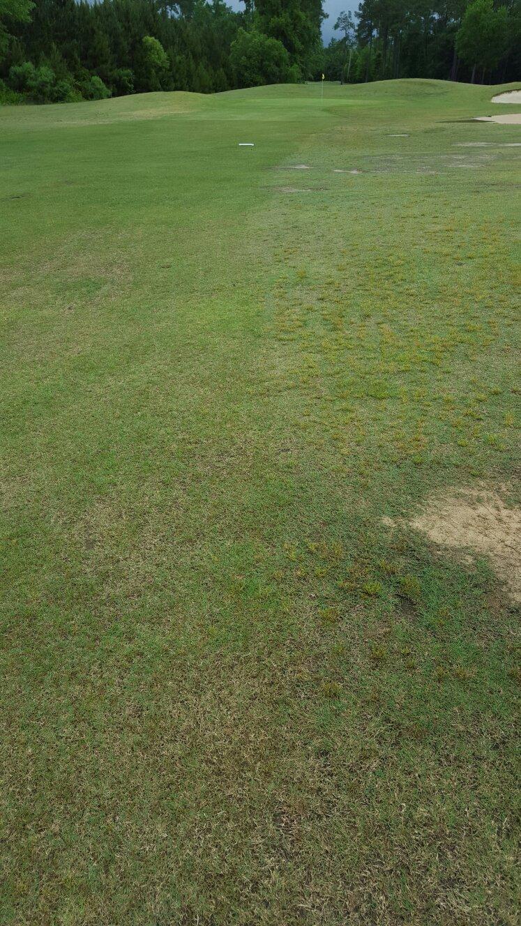 Colonial Charters Golf Club