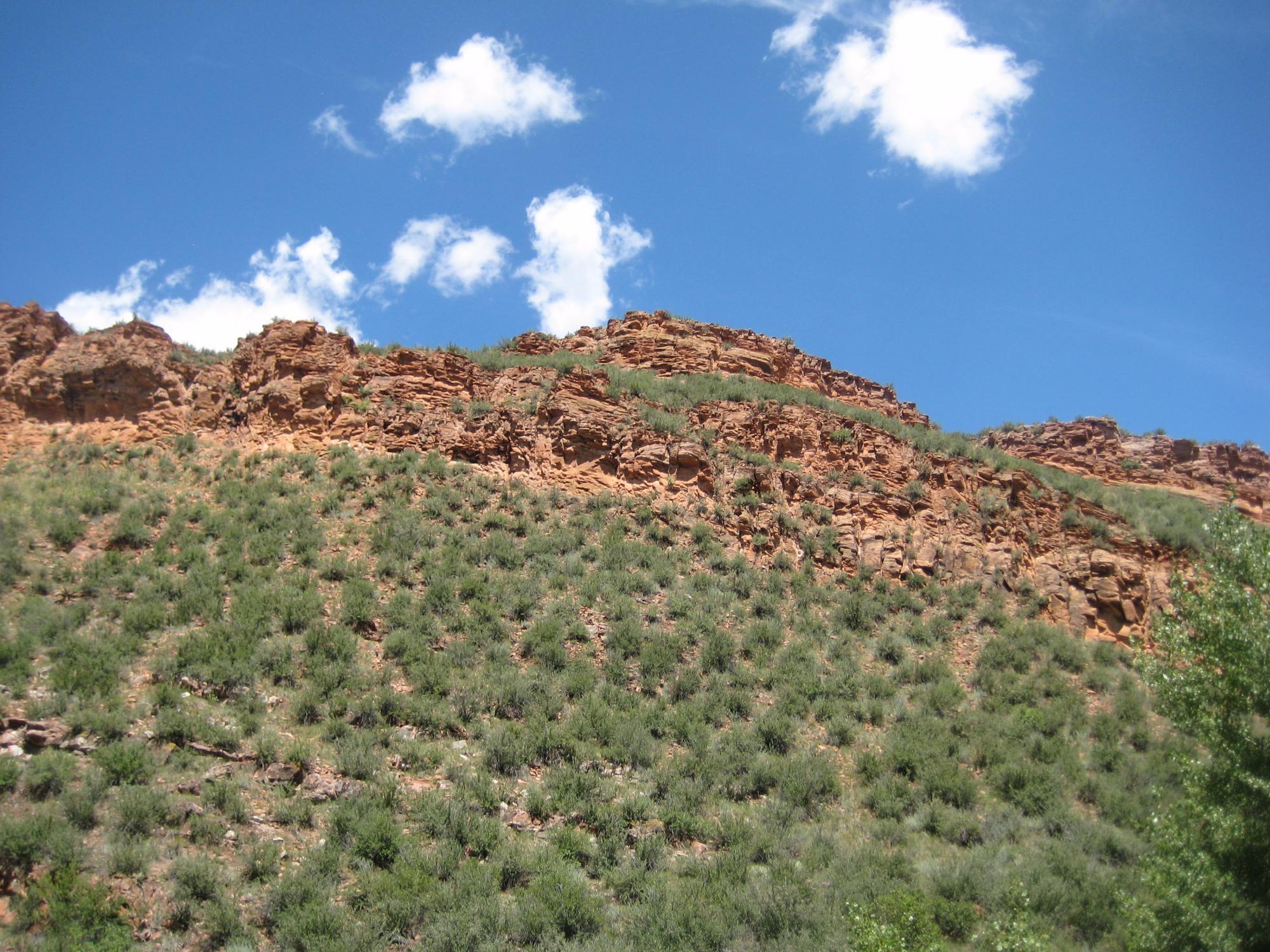 Devil's Backbone Open Space