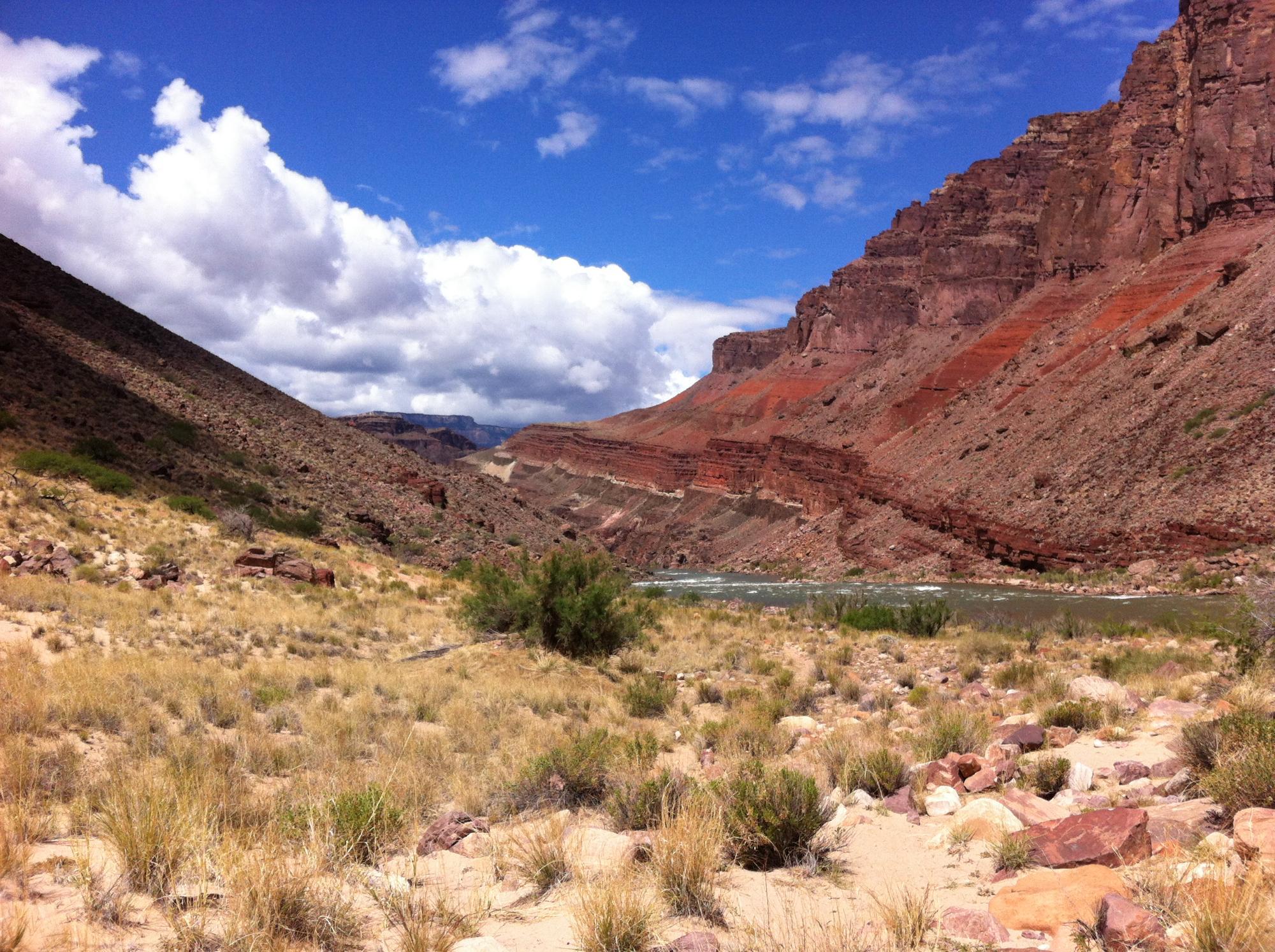 Photo by jimcZ3890GD